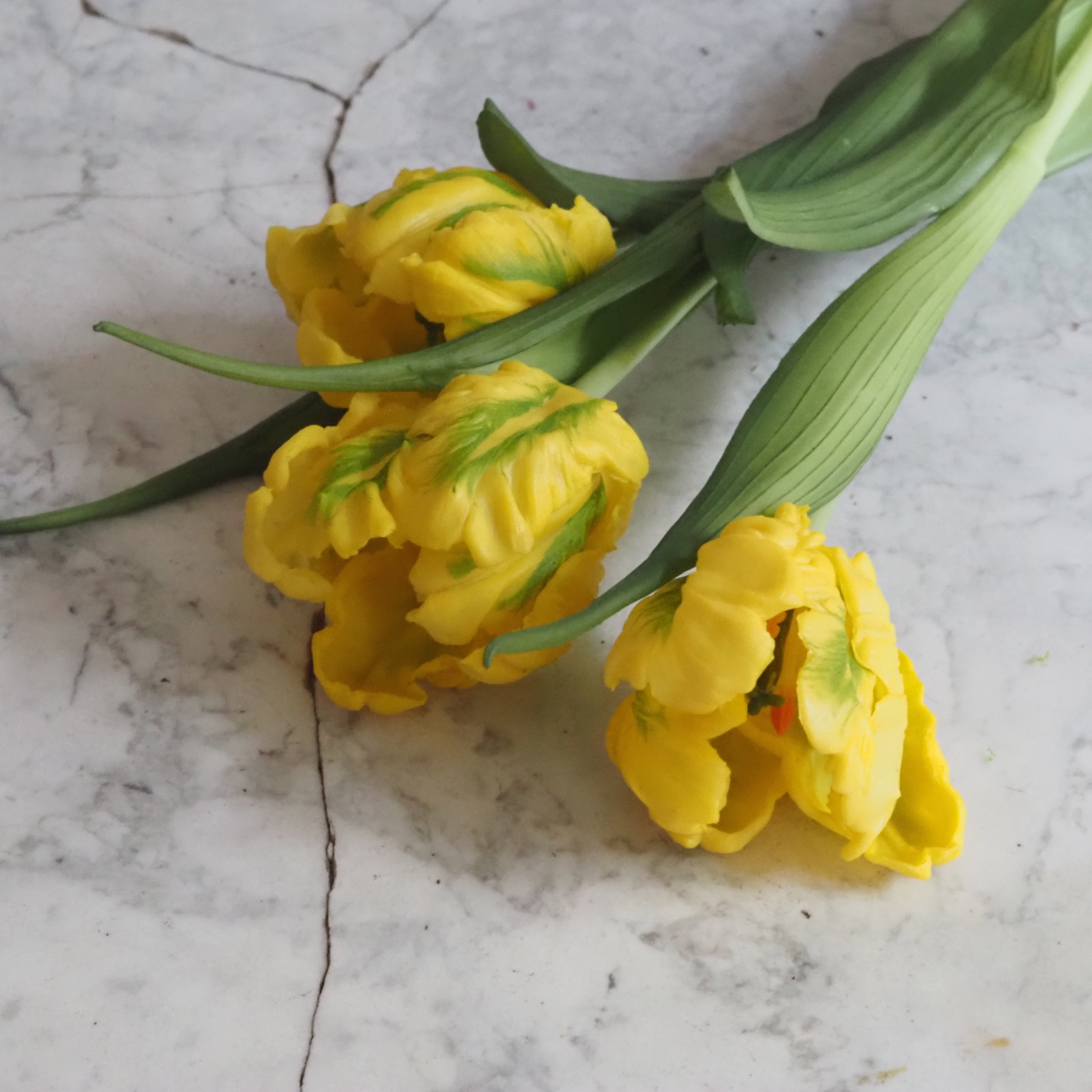 Papagei-Tulpenbund · künstlicher Tulpenzweig