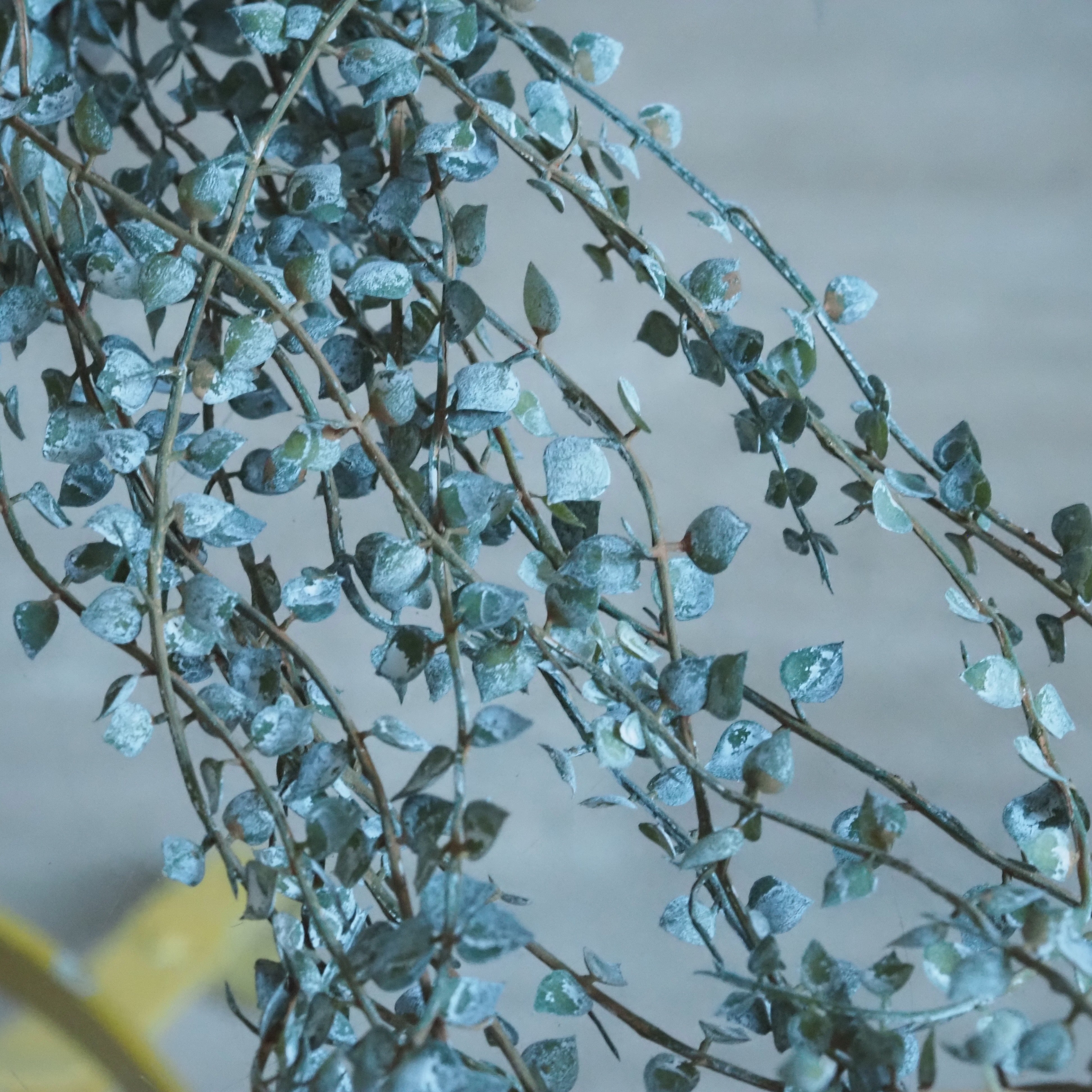 Blatthänger · kleinblättrige Ranke / florales Dekorelement