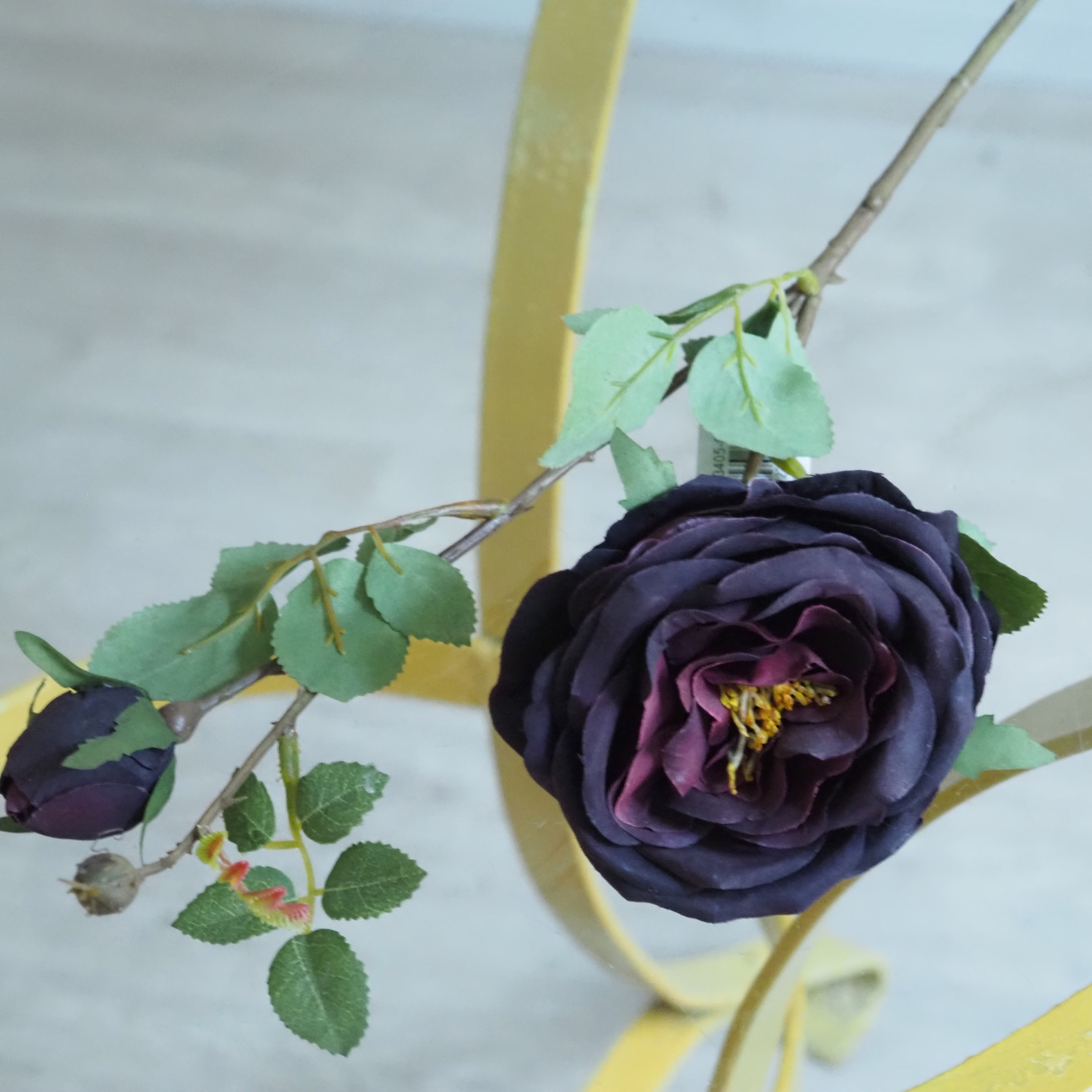 Rosenzweig · dunkle Blüte in historisierender Anmutung