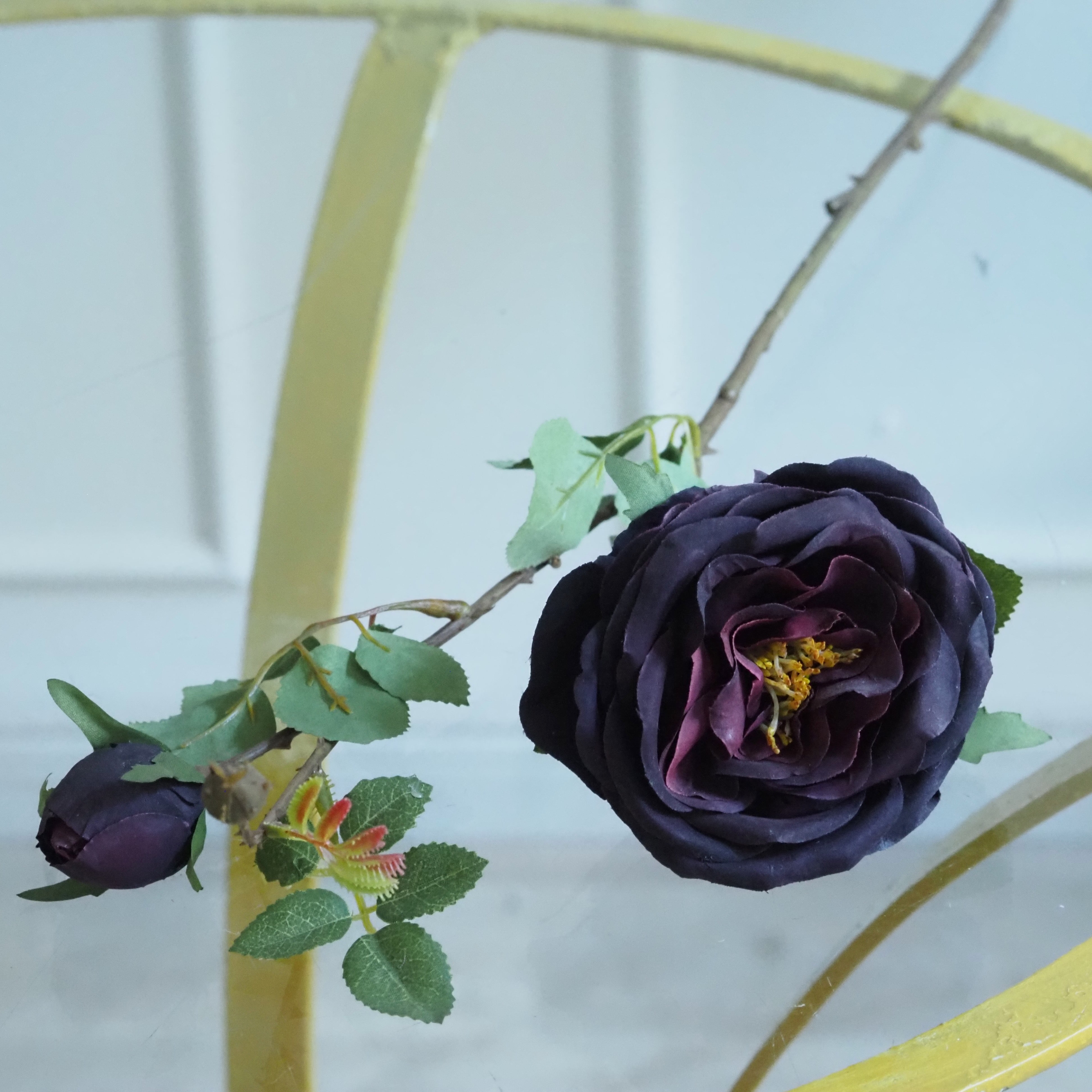 Rosenzweig · dunkle Blüte in historisierender Anmutung