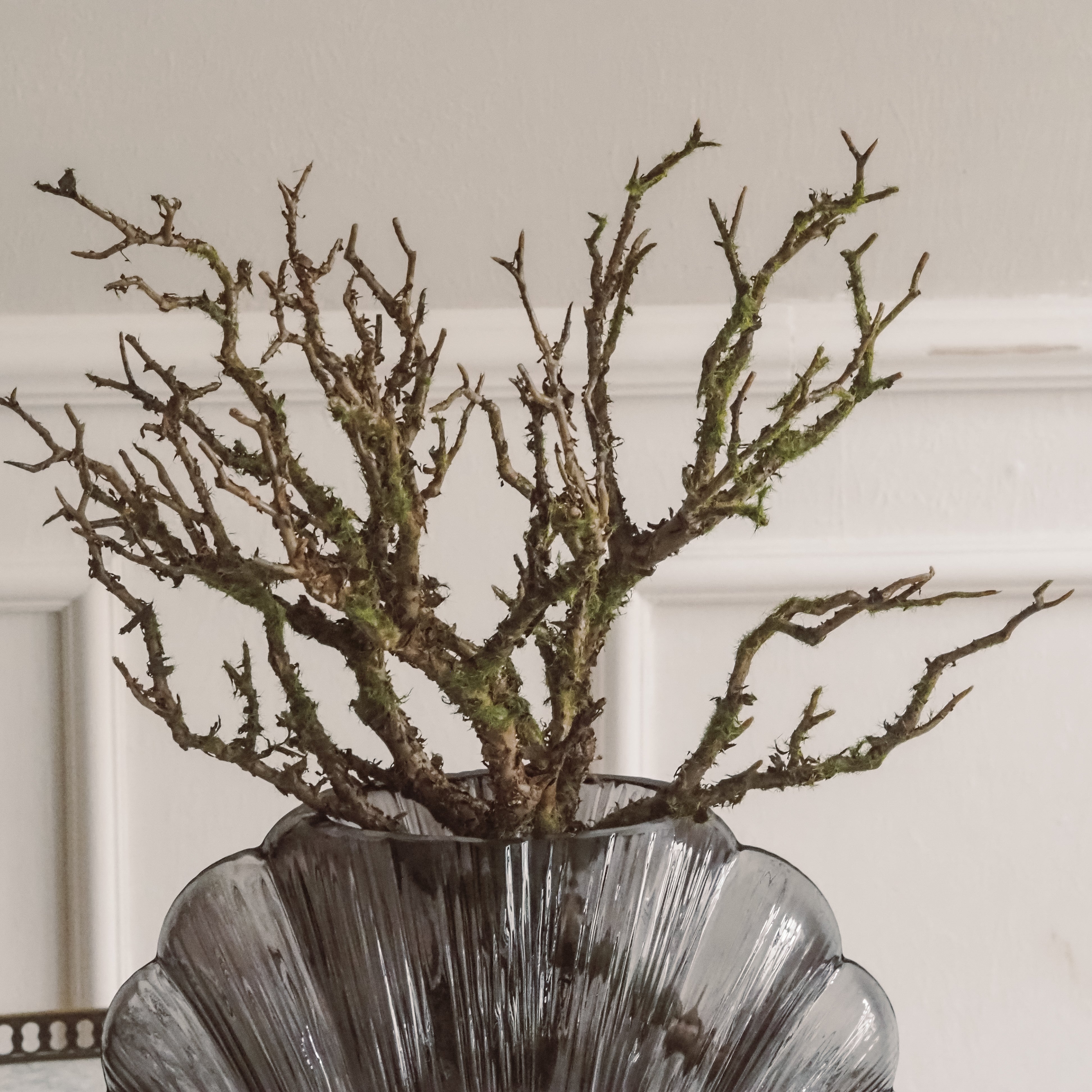 Wurzel mit Moos · Kunstzweig, Naturdekoration / organischer Ast