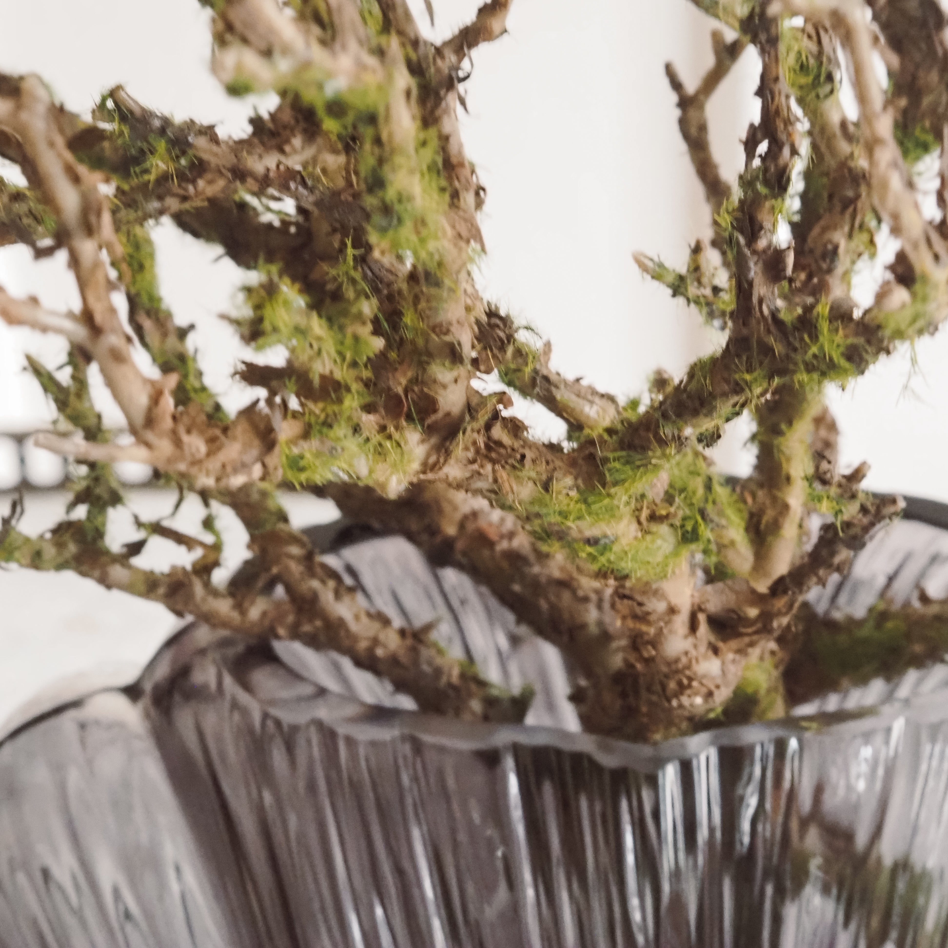 Wurzel mit Moos · Kunstzweig, Naturdekoration / organischer Ast