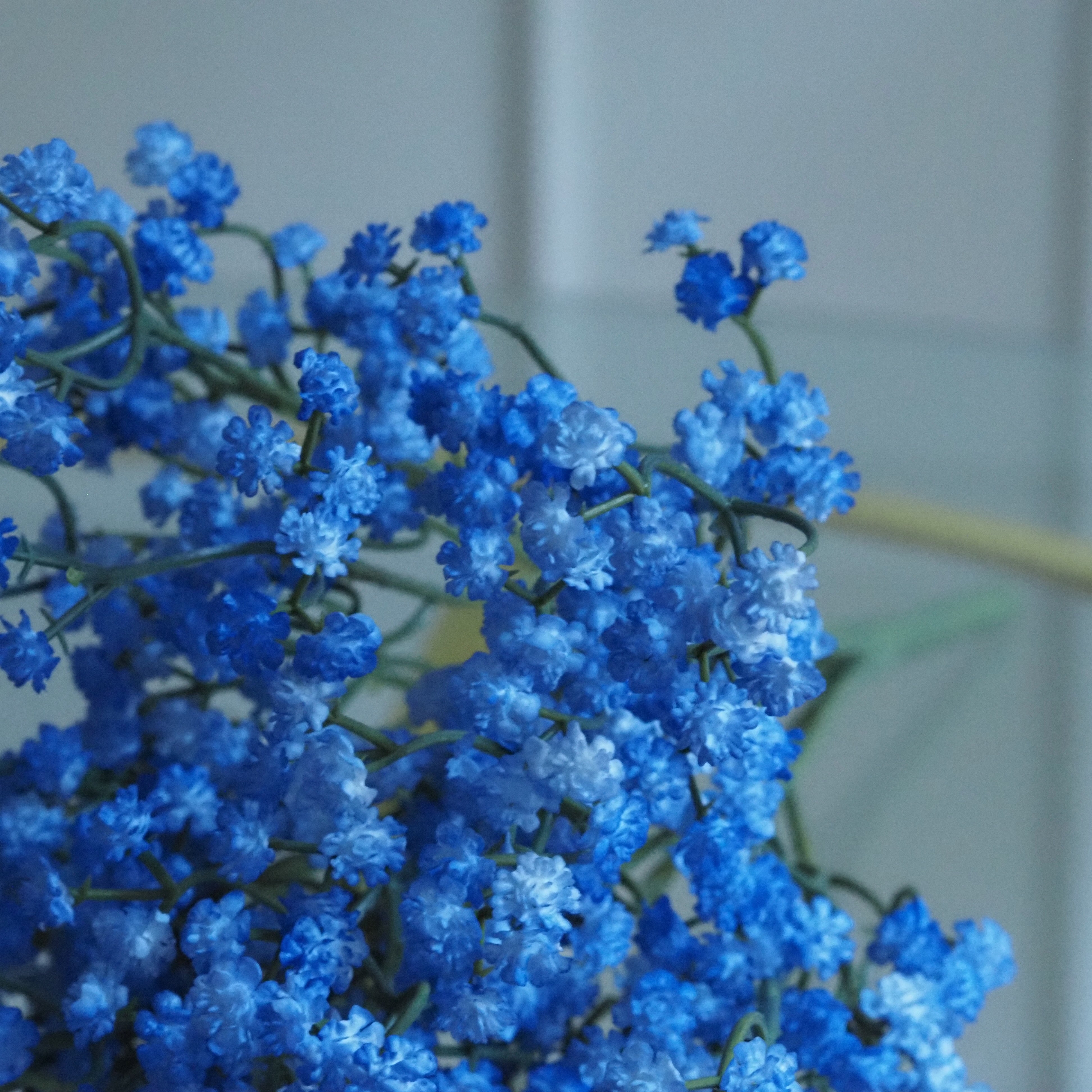 Gypsophila Zweig · Schleierkraut-Bündel in hellvioletter Ausführung