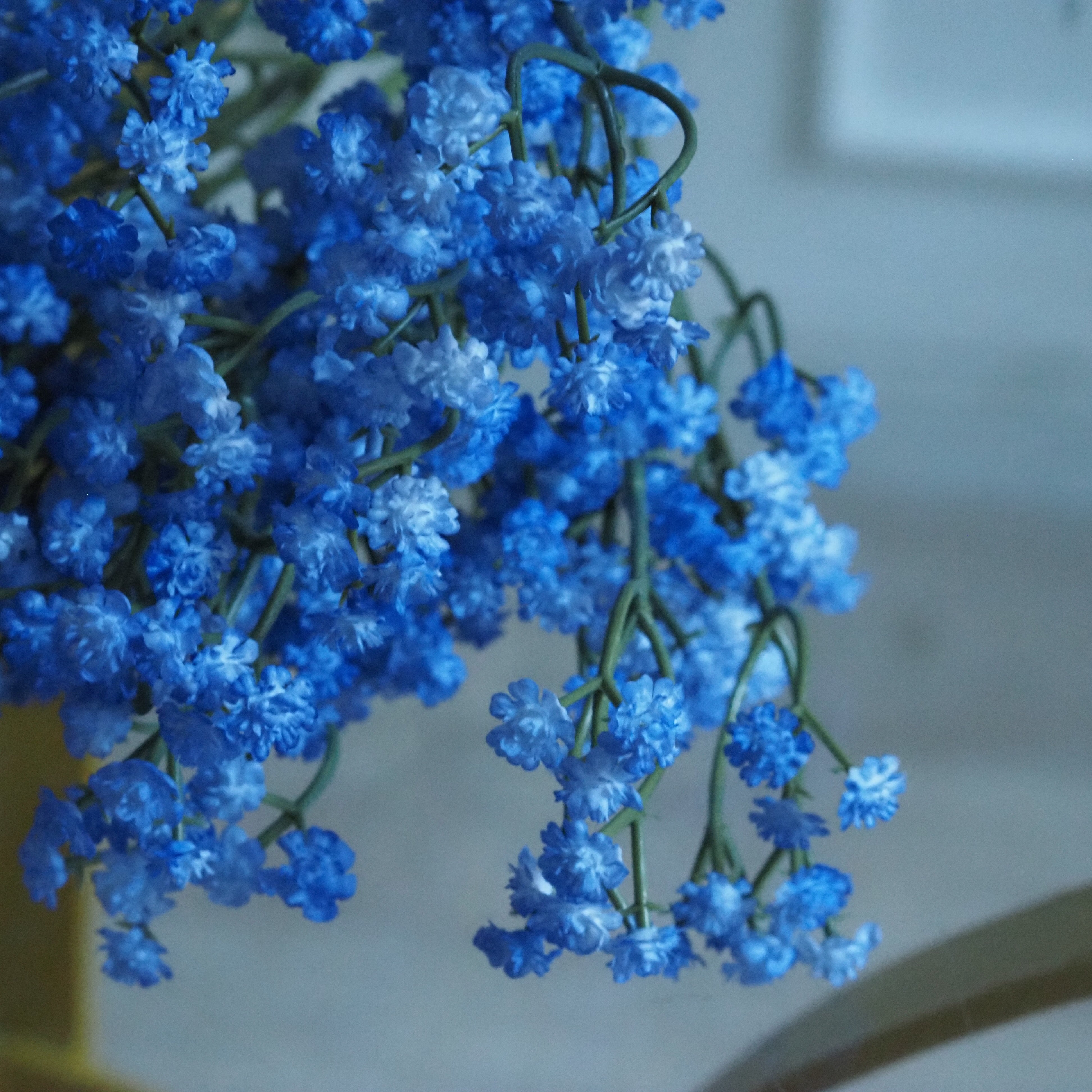 Gypsophila Zweig · Schleierkraut-Bündel in hellvioletter Ausführung