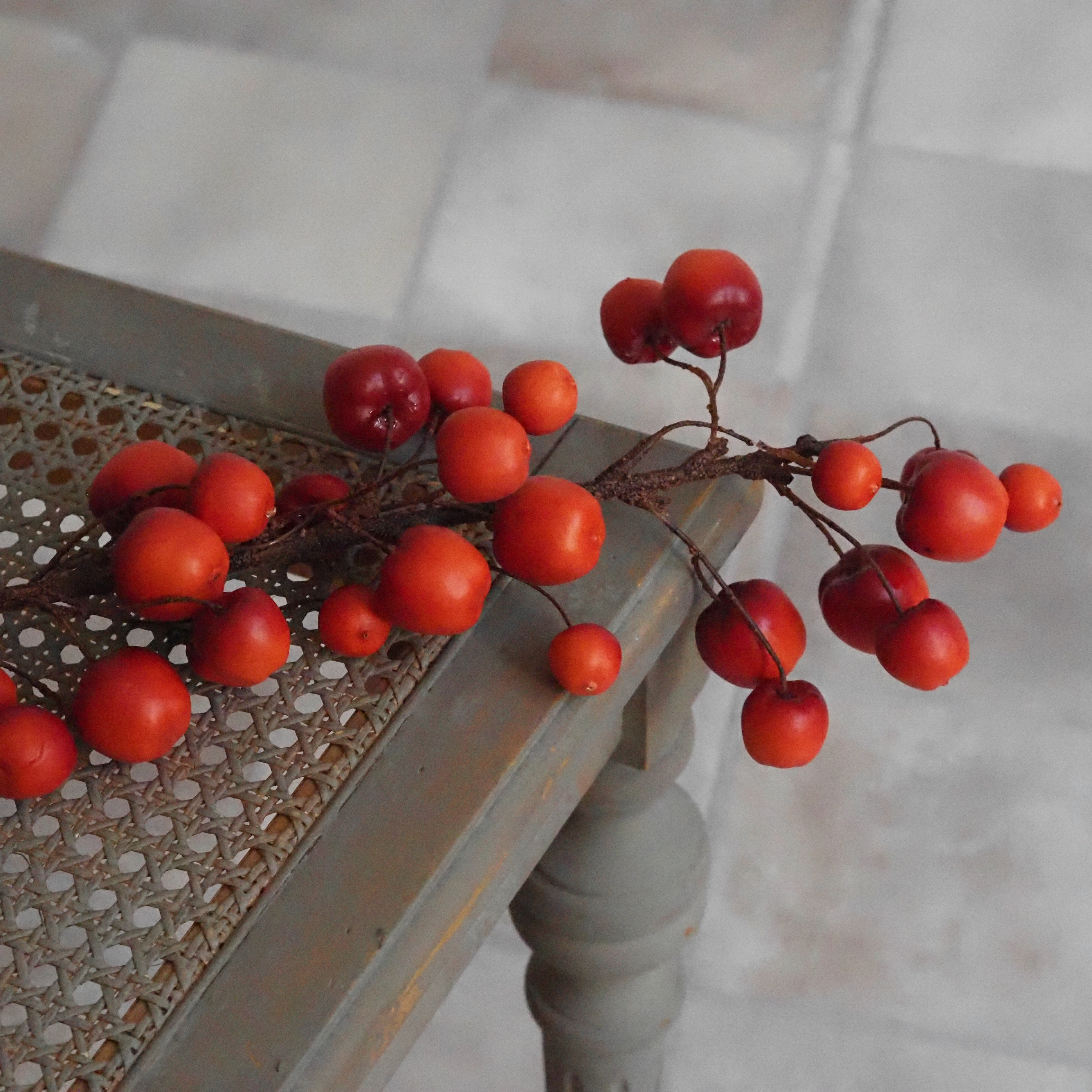 Apfelzweig Rot · Herbstdekoration Naturholz-Optik