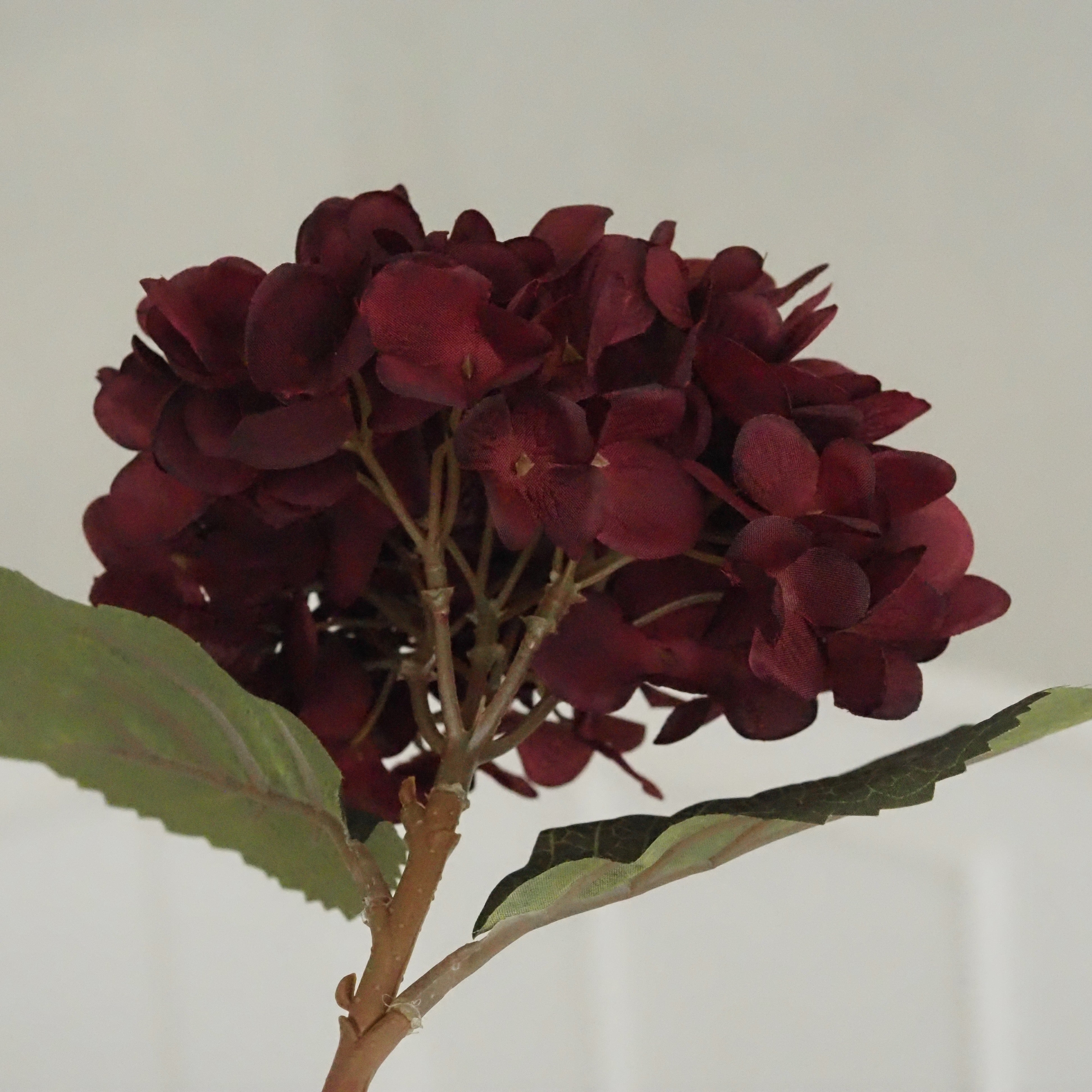 Hortensienzweig Burgund · Herbstliche Vasendeko Landhausstil