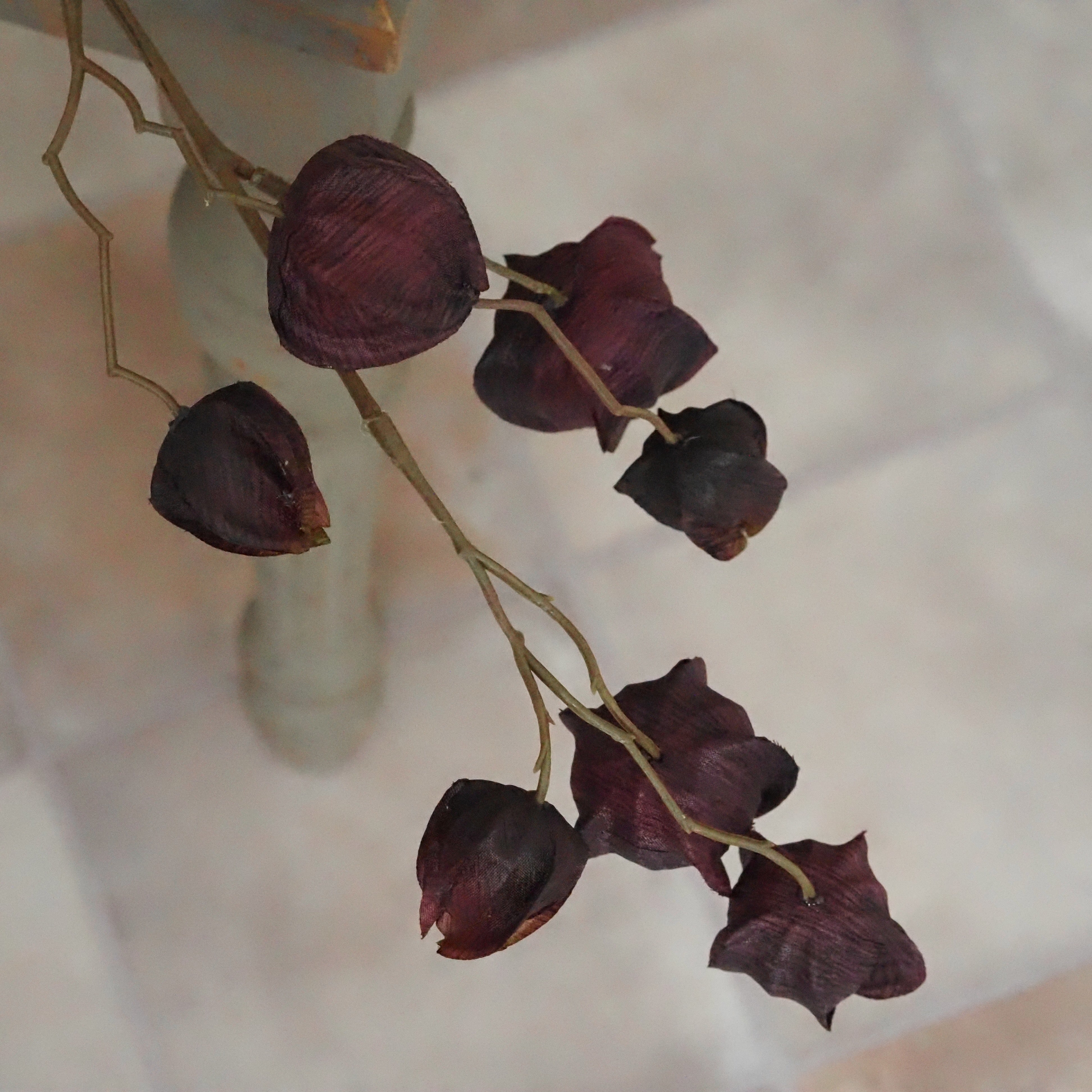 Physalis Zweig Aubergine · Lampions Seidenoptik Herbstdeko