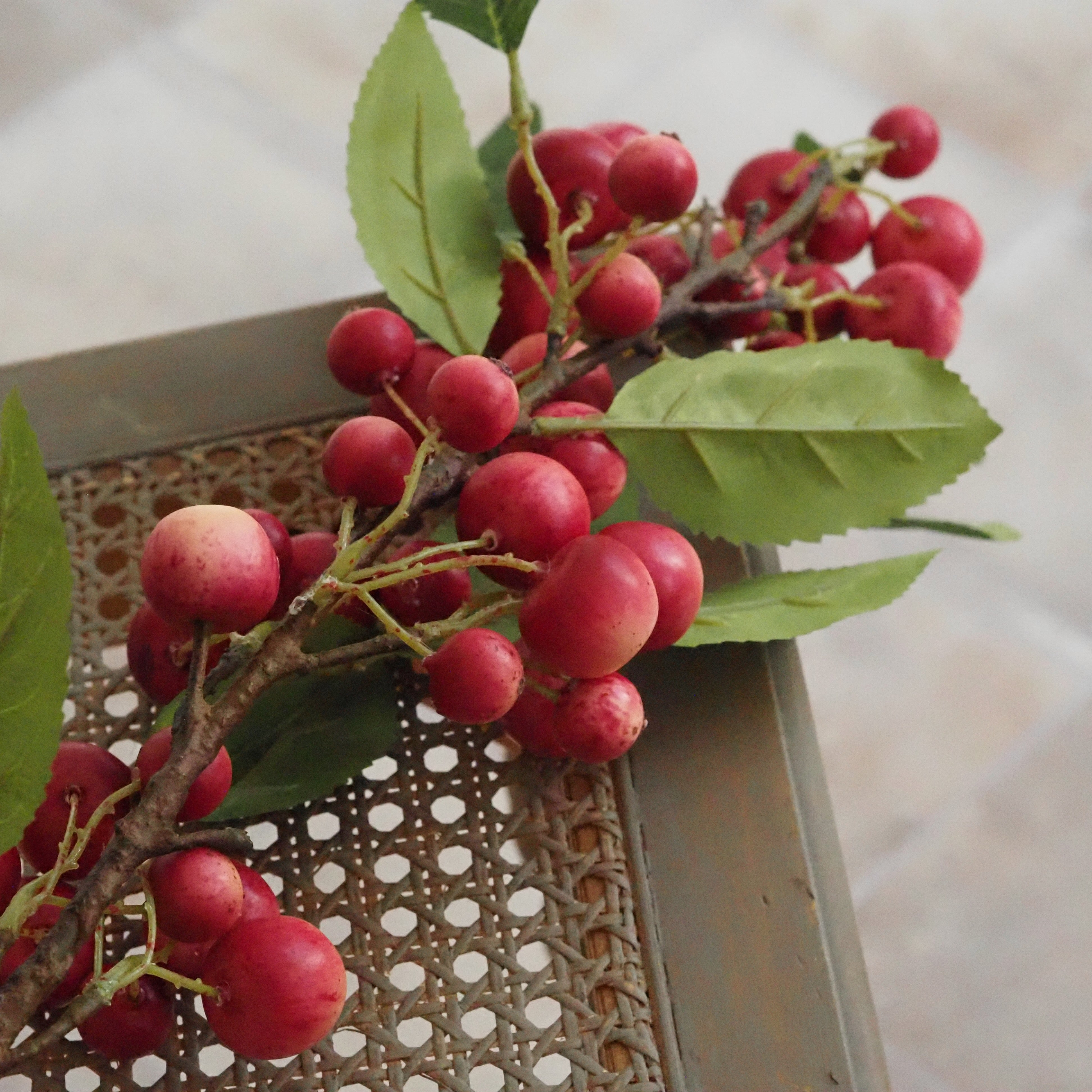 Zieräpfel-Zweig Rosé · Fruchtzweig im Landhausstil