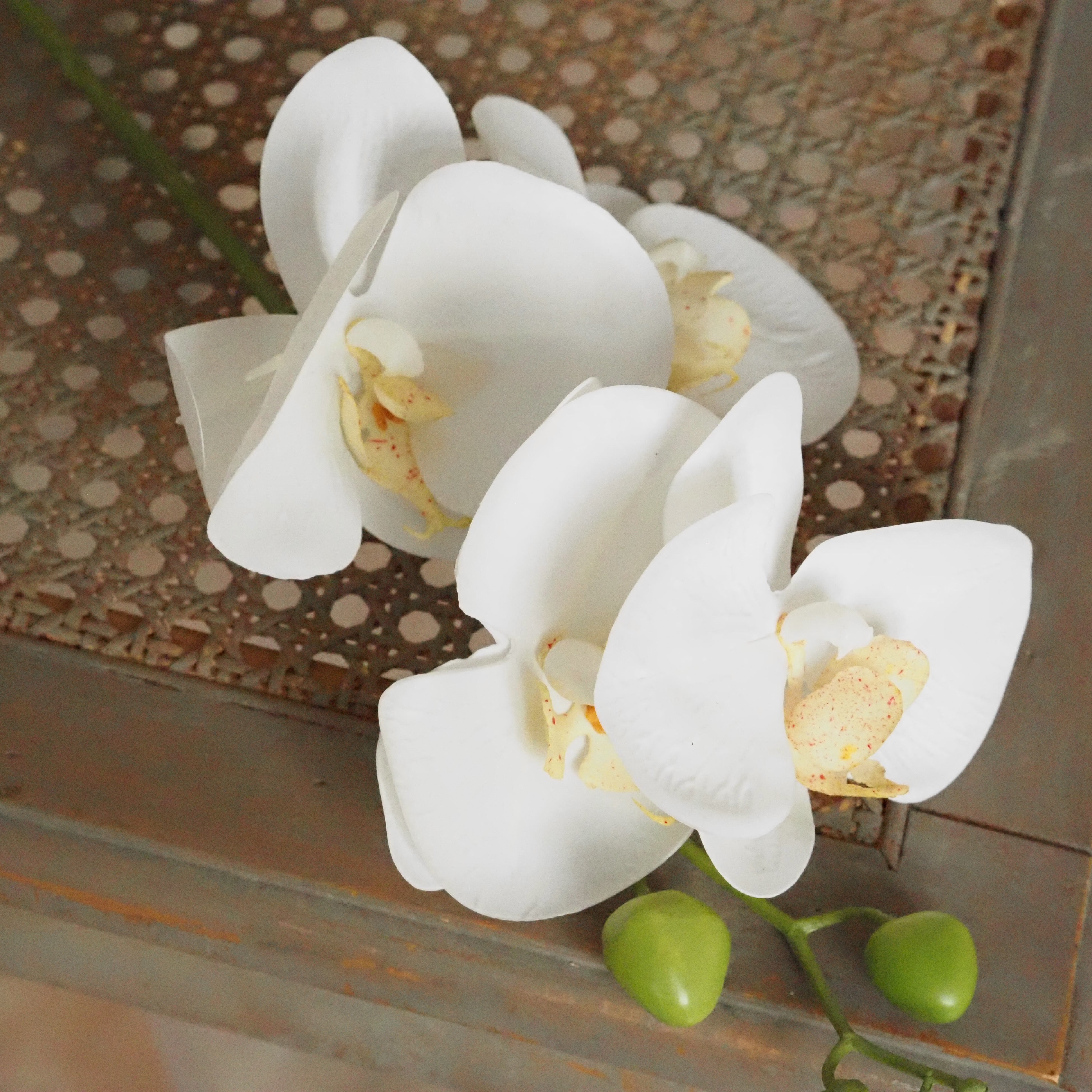 Orchidee Real Touch Creme · Phalaenopsis 66 cm