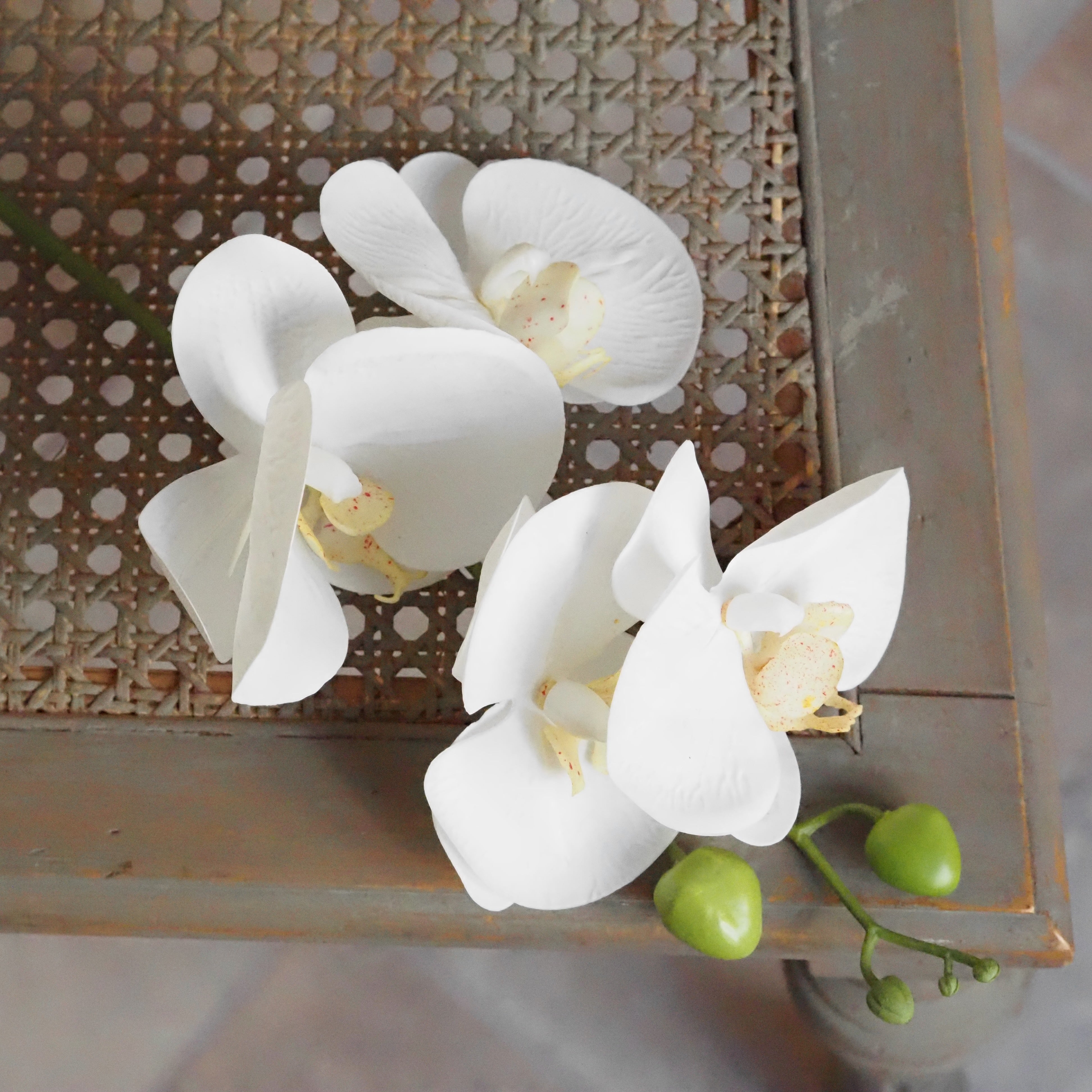Orchidee Real Touch Creme · Phalaenopsis 66 cm