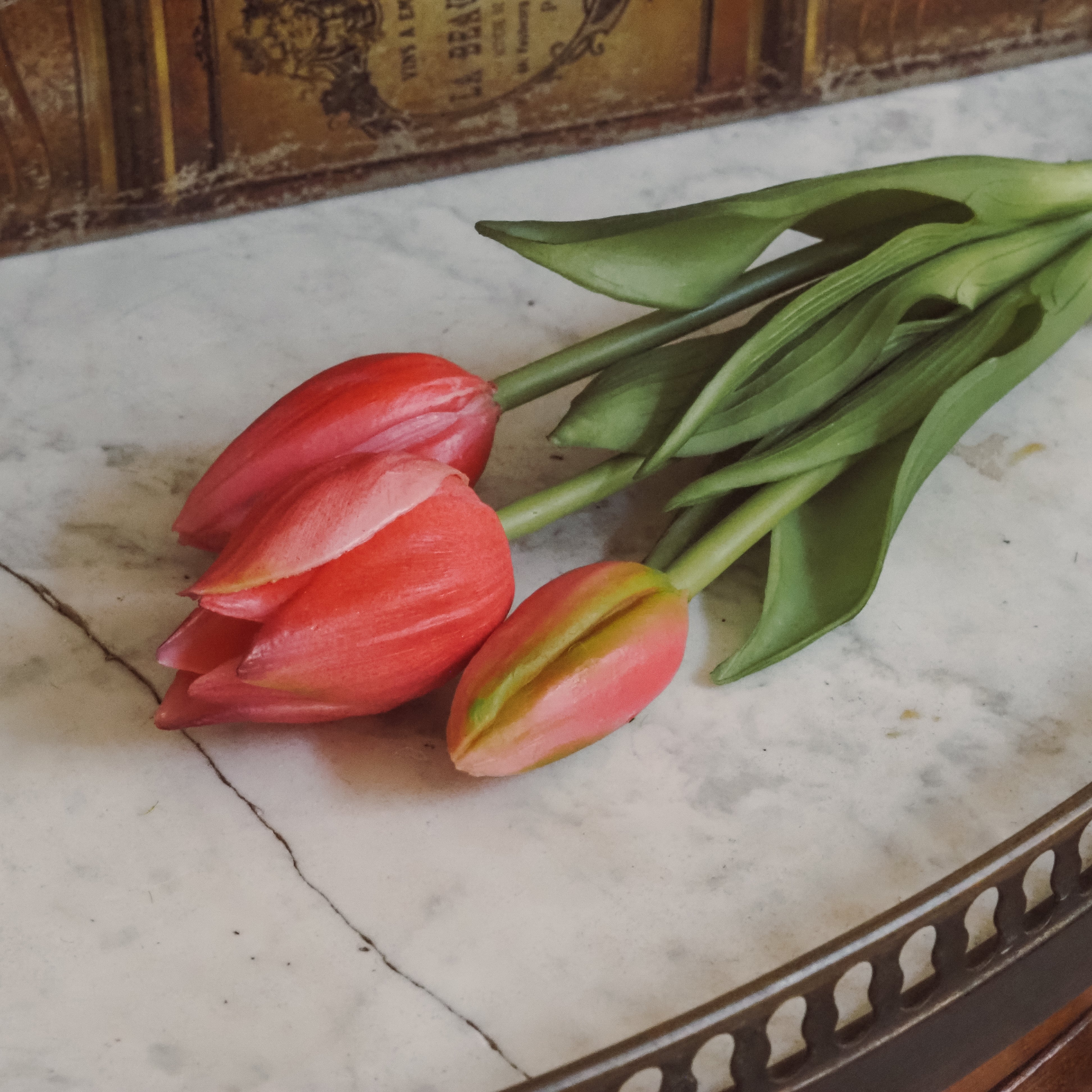 Tulpenbund rosa · Dekorationsblumen · Frühlingsdeko