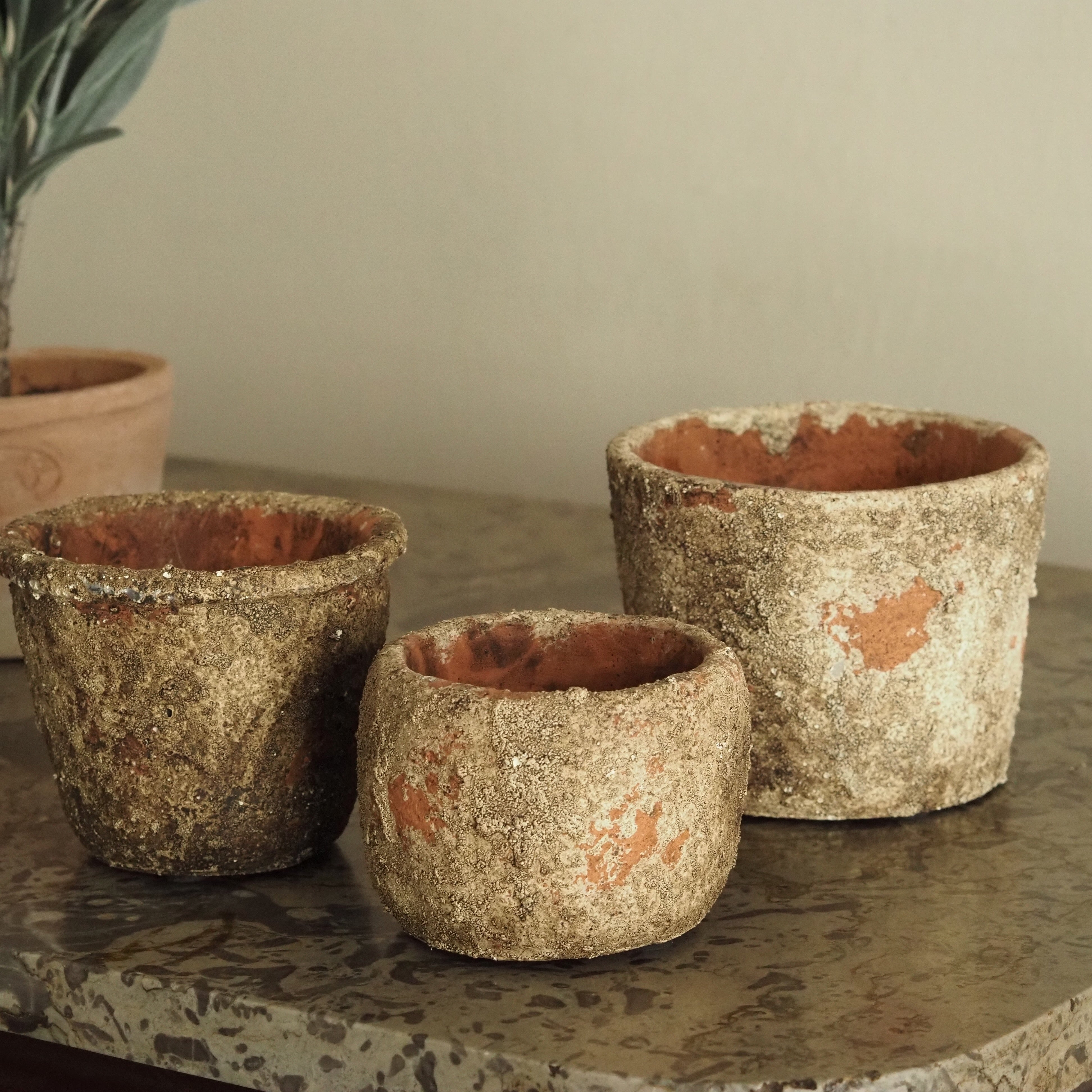 3er-Set Mini-Töpfe Natur · strukturierte Pflanzgefäße im Terrakotta-Stil