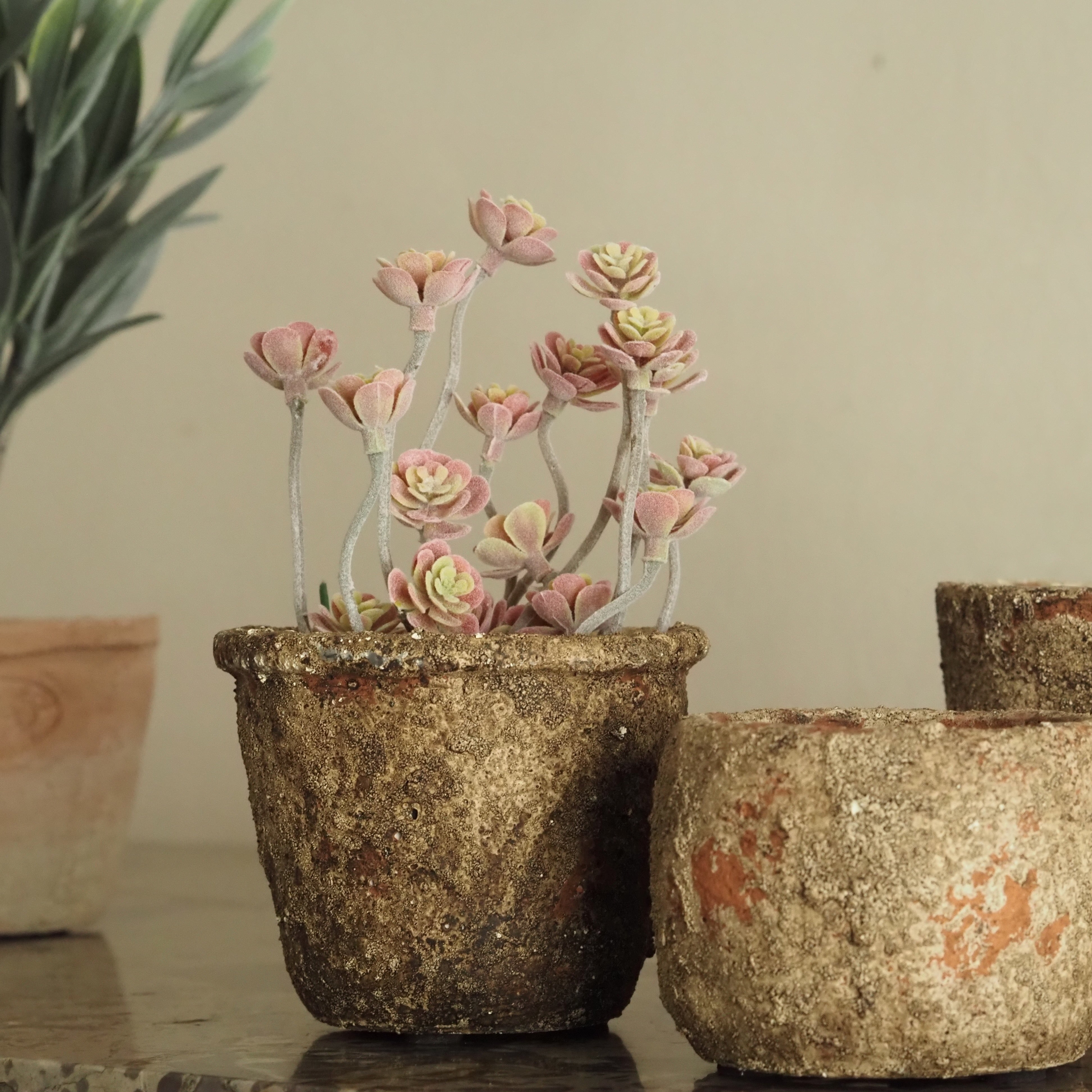 3er-Set Mini-Töpfe Natur · strukturierte Pflanzgefäße im Terrakotta-Stil