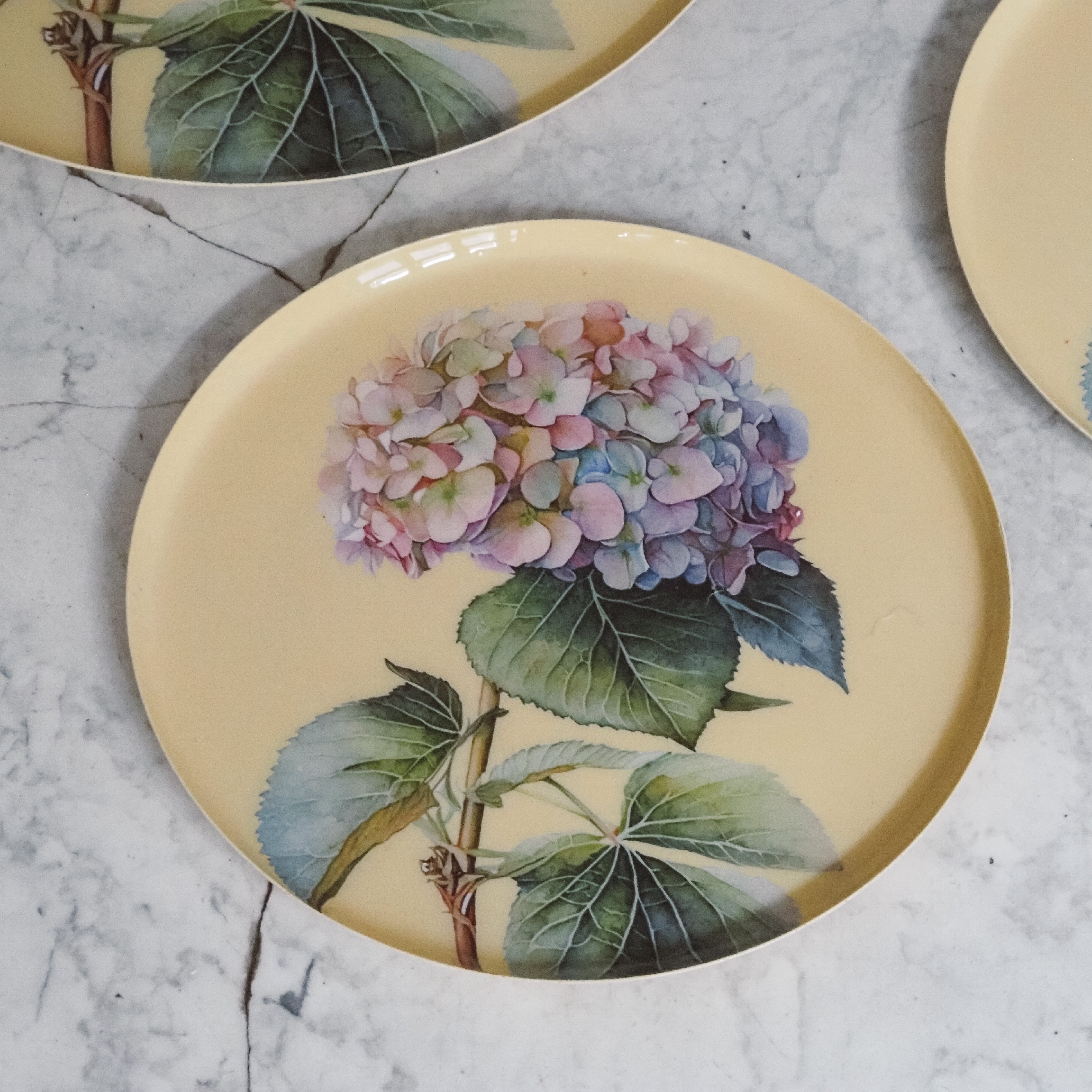 Hortensien Teller Set · Botanisches Tablettset mit floraler Illustration