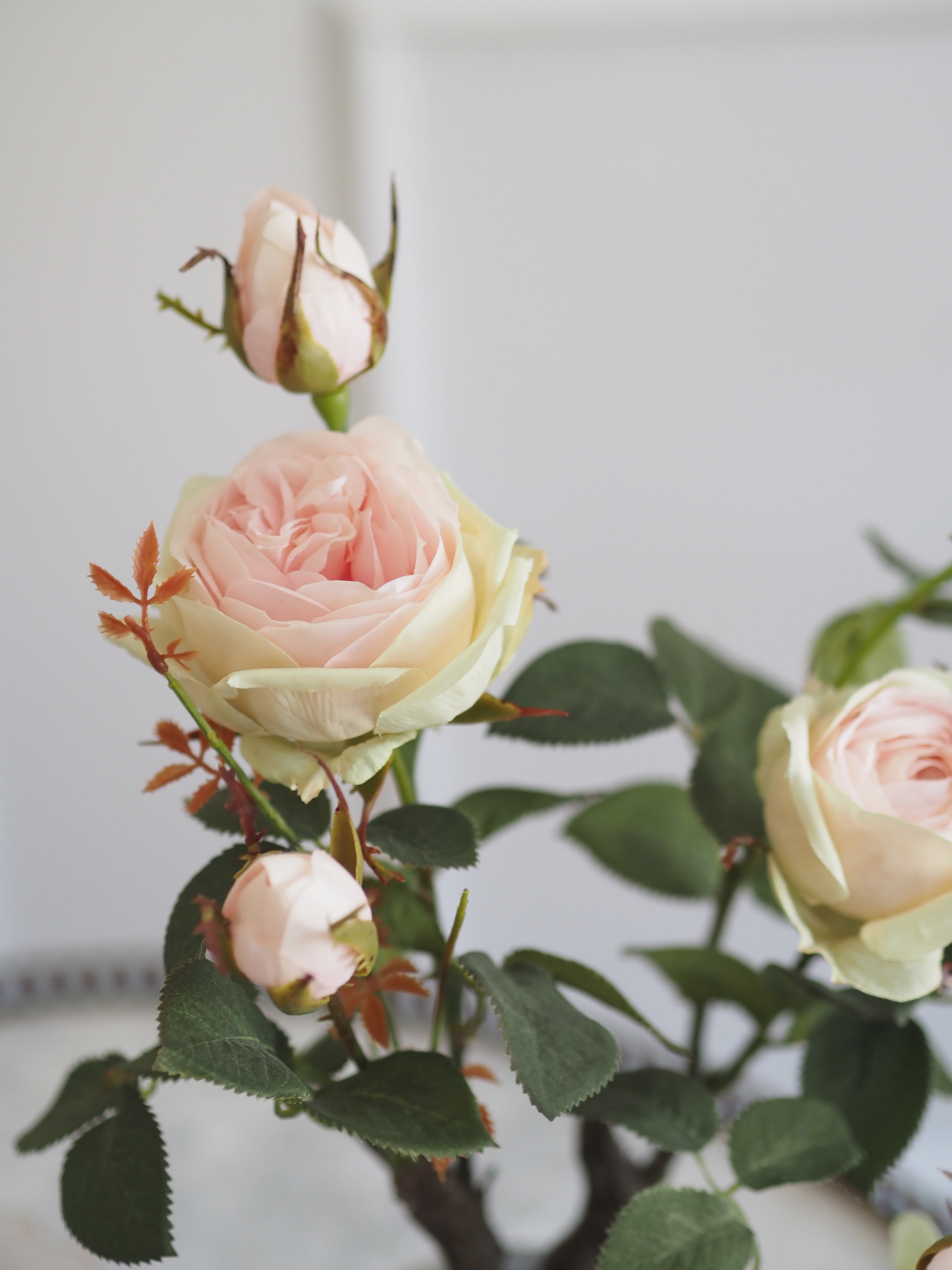 Rosenstrauch im Topf · dekorative Kunstrose · florale Tischdekoration