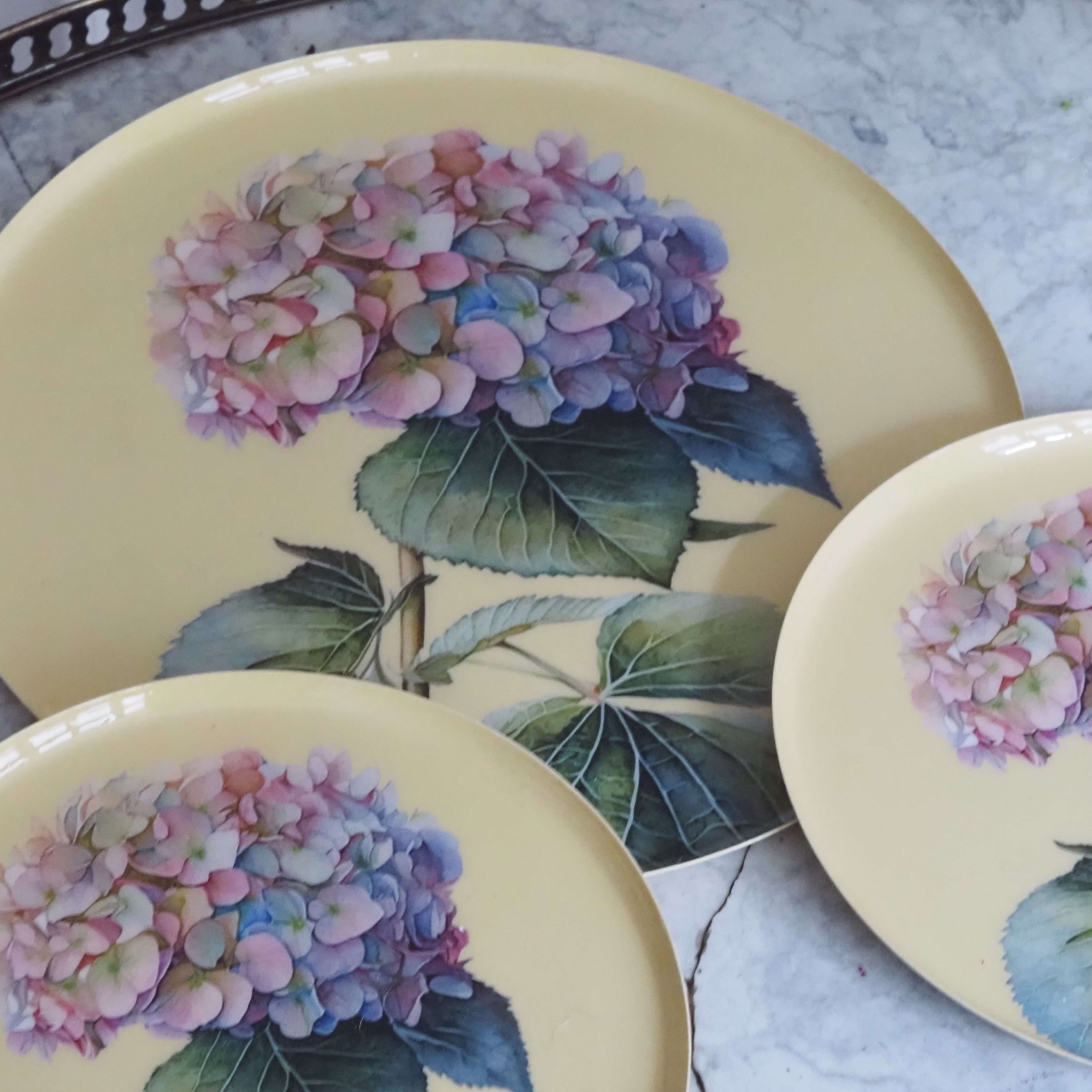 Hortensien Teller Set · Botanisches Tablettset mit floraler Illustration
