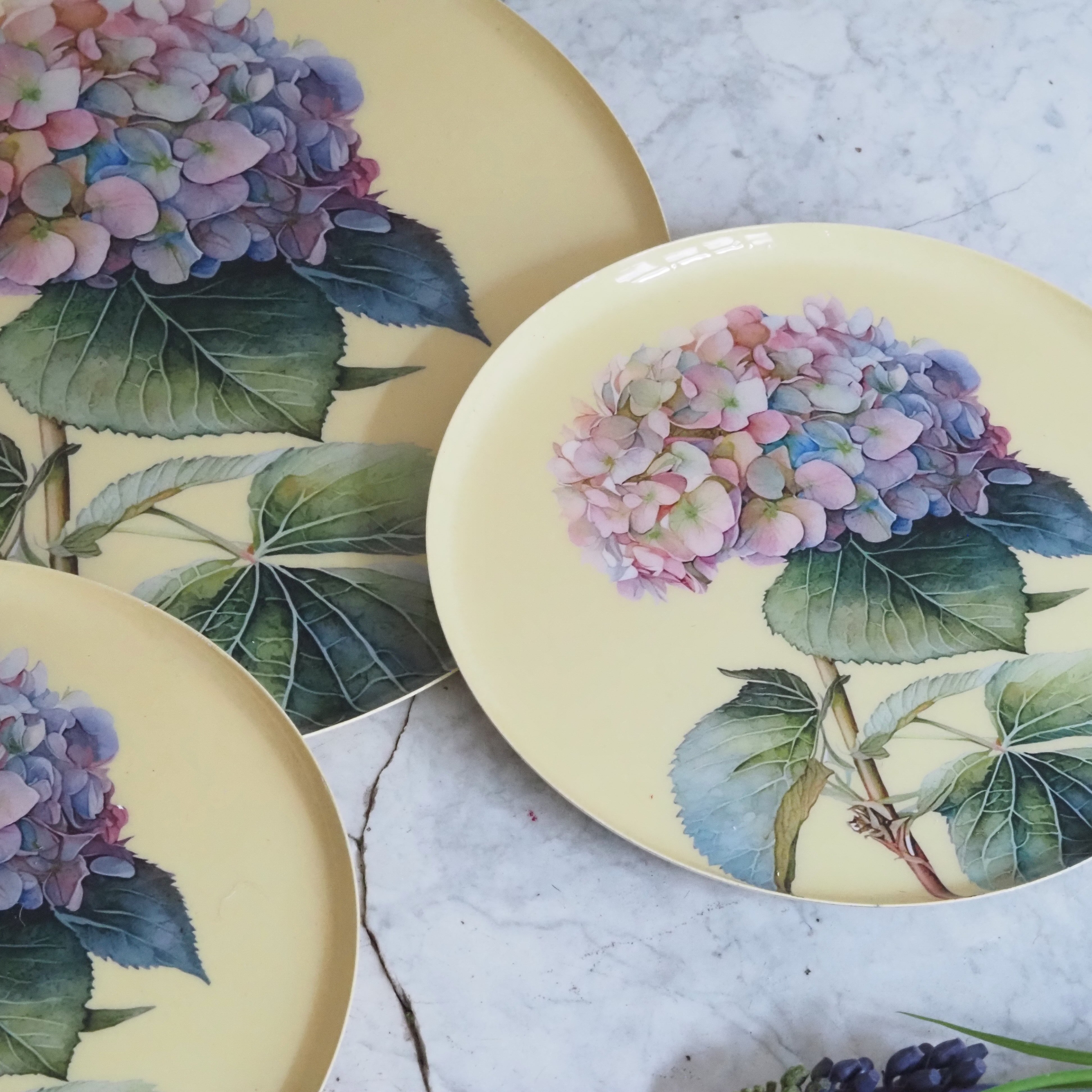 Hortensien Teller Set · Botanisches Tablettset mit floraler Illustration