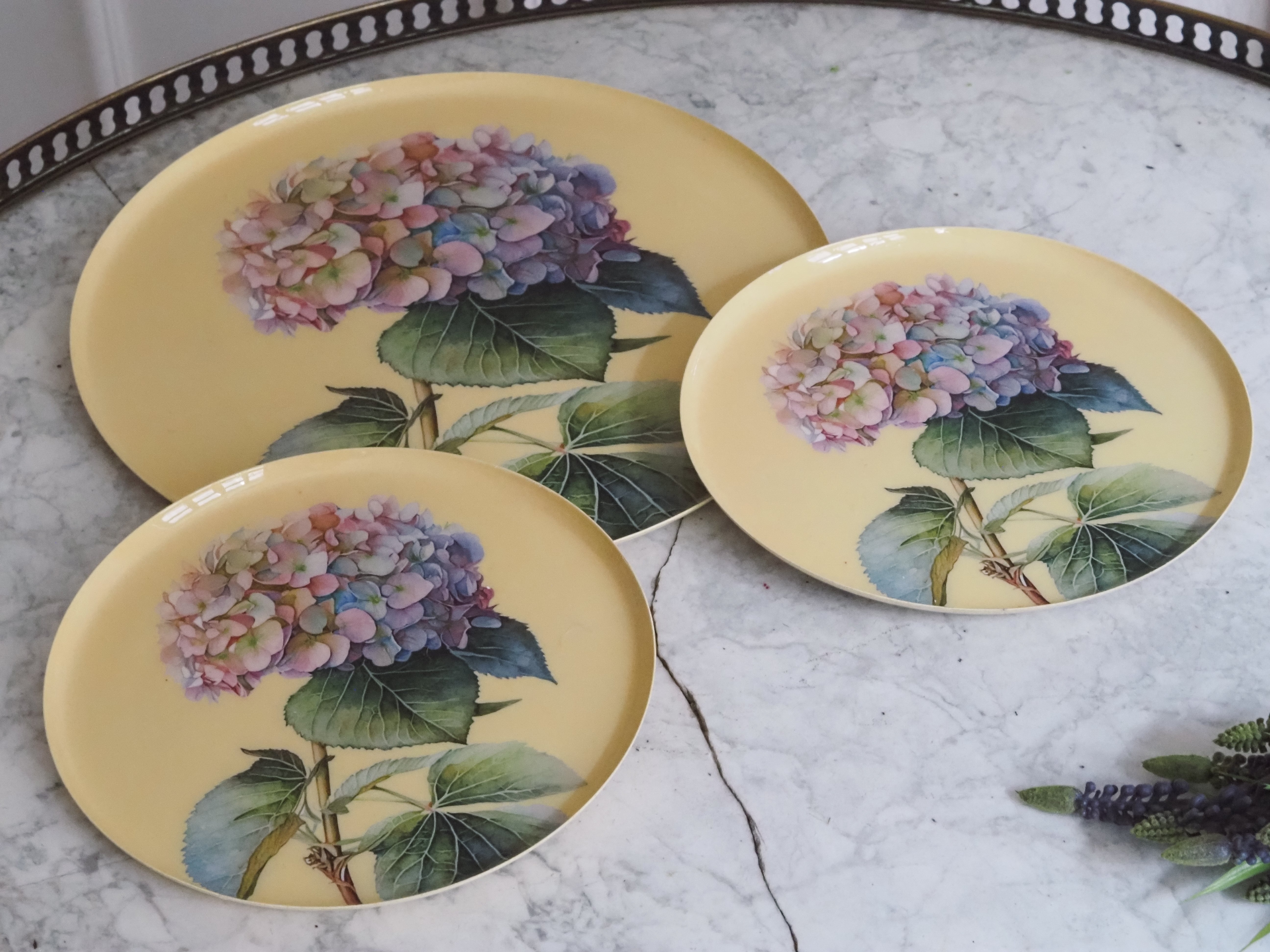 Hortensien Teller Set · Botanisches Tablettset mit floraler Illustration