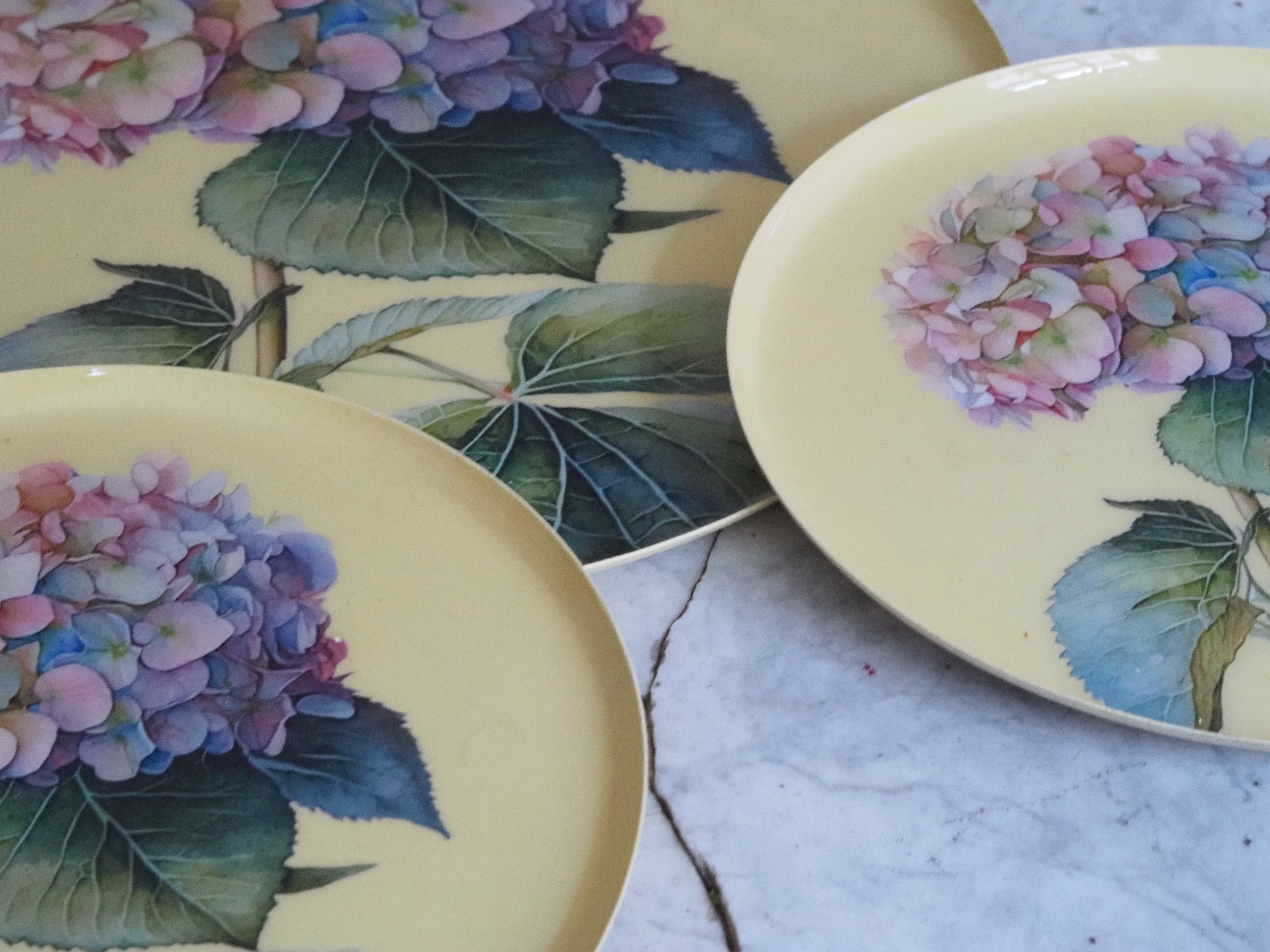 Hortensien Teller Set · Botanisches Tablettset mit floraler Illustration