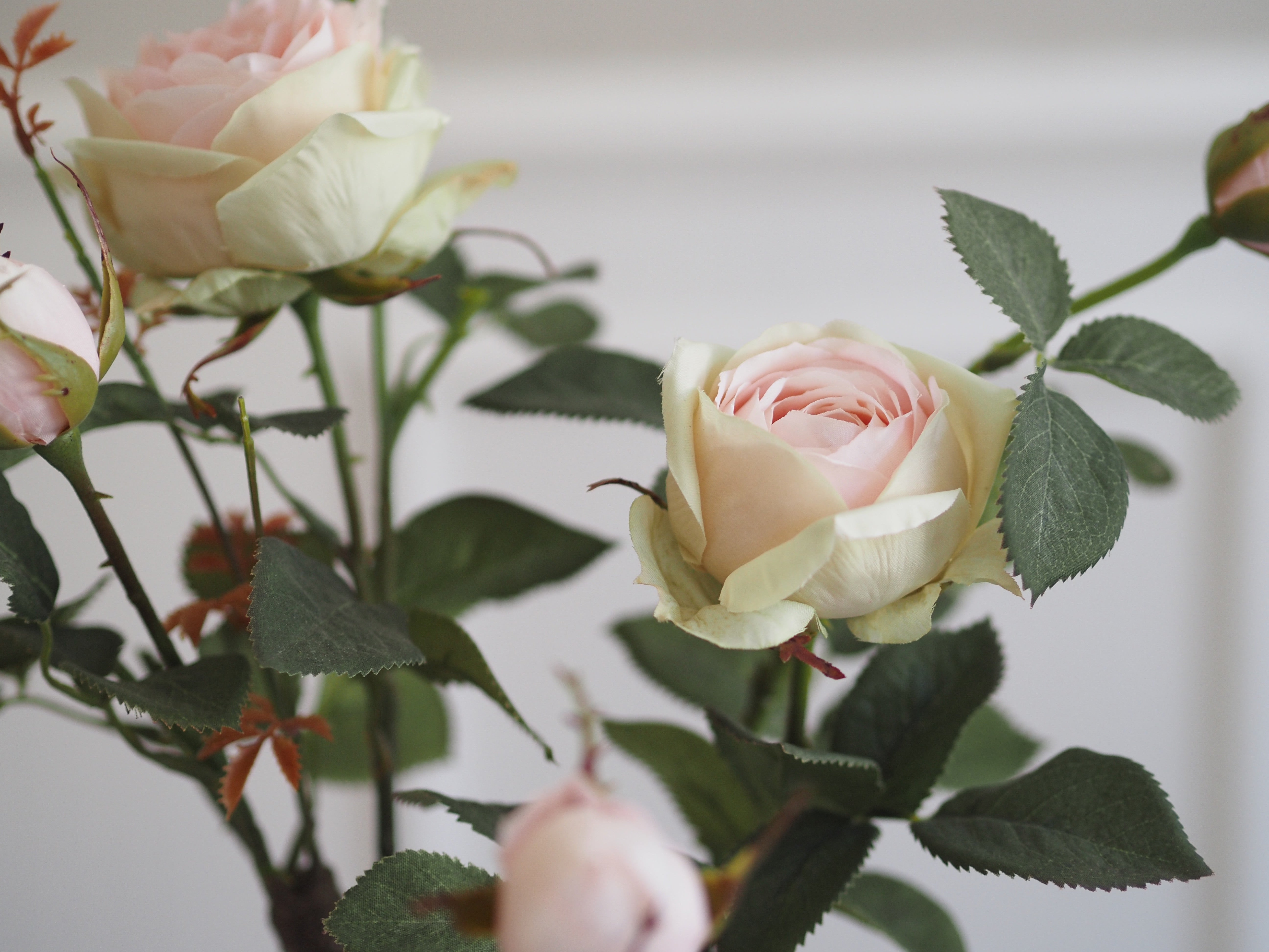 Rosenstrauch im Topf · dekorative Kunstrose · florale Tischdekoration