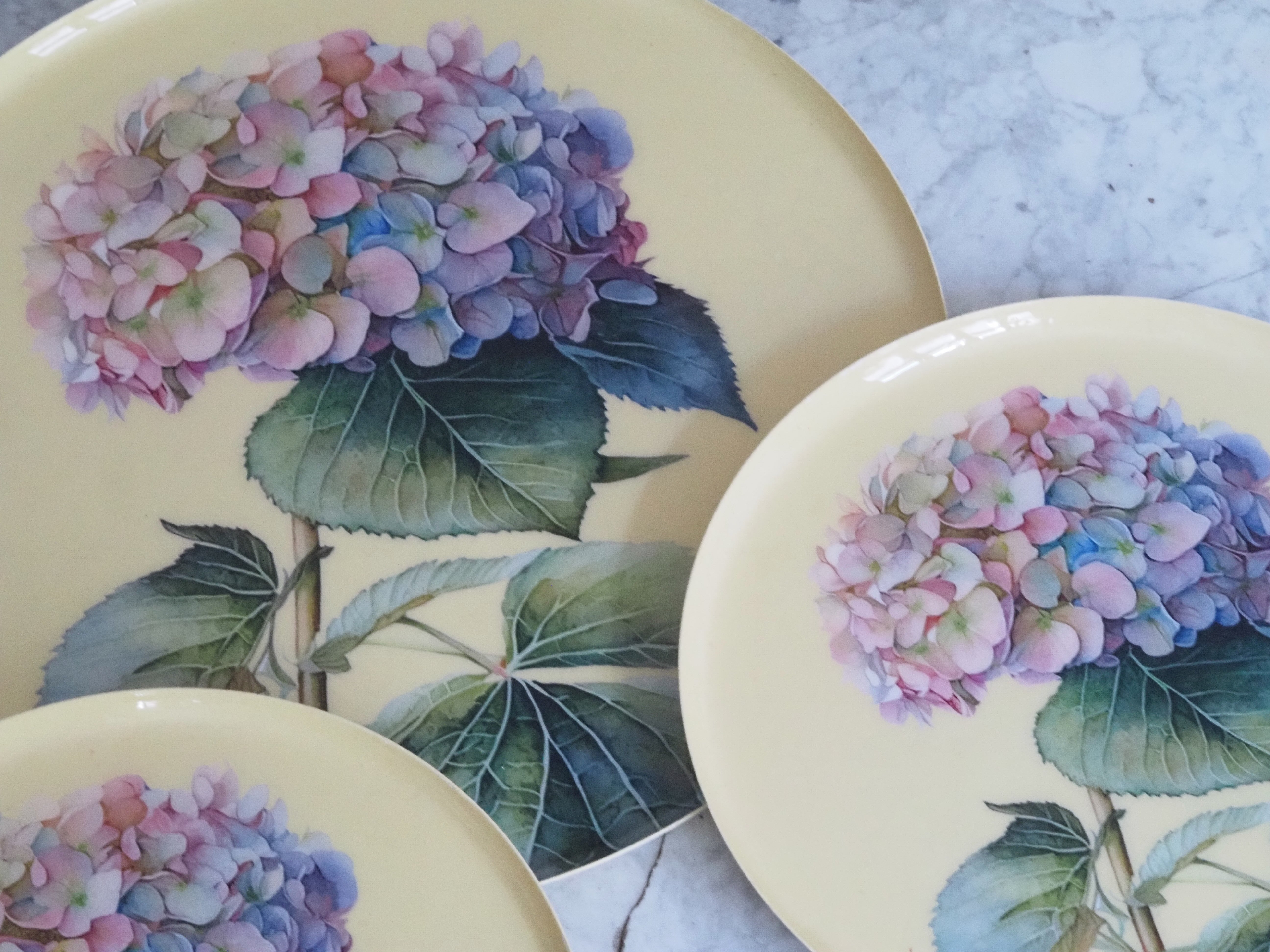 Hortensien Teller Set · Botanisches Tablettset mit floraler Illustration