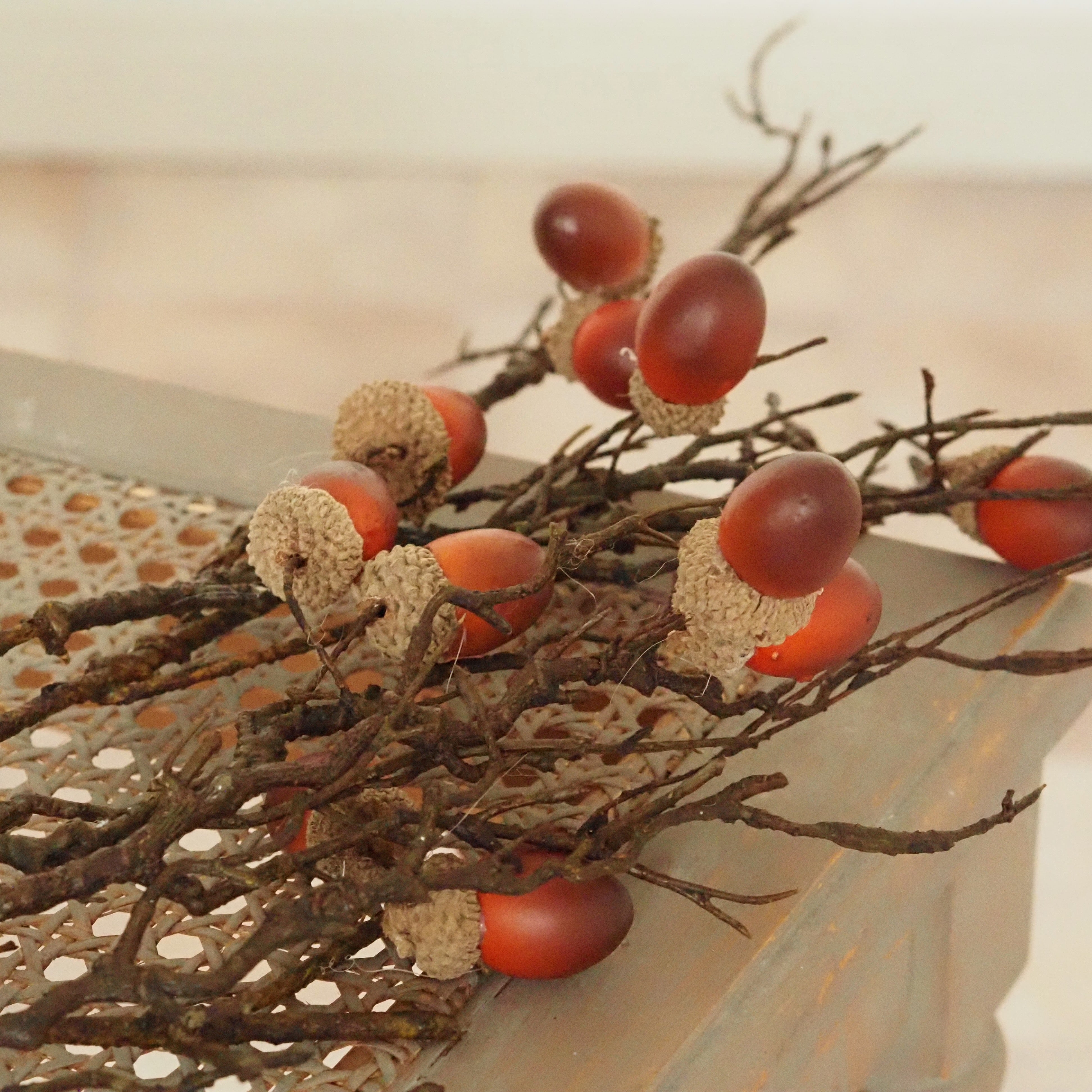 Dekozweig Eicheln · Naturholz herbstlich braun-orange