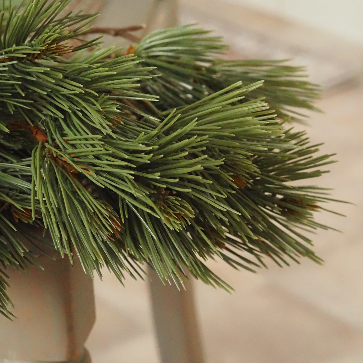Kiefernzweig Graugrün · Biegbare Winterdeko 6er-Set
