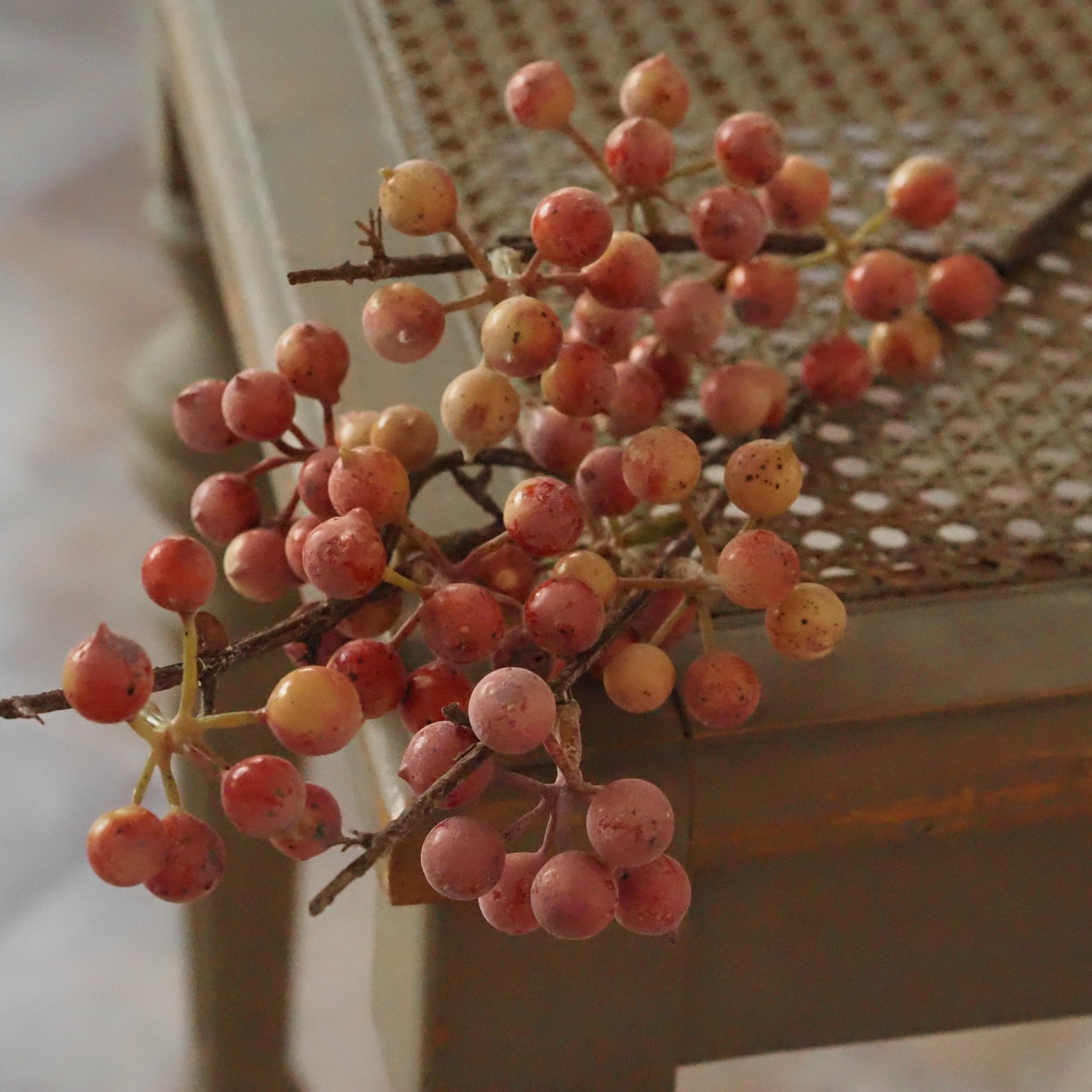 Beerenzweig Rosérot · Naturnahe Herbstdekoration