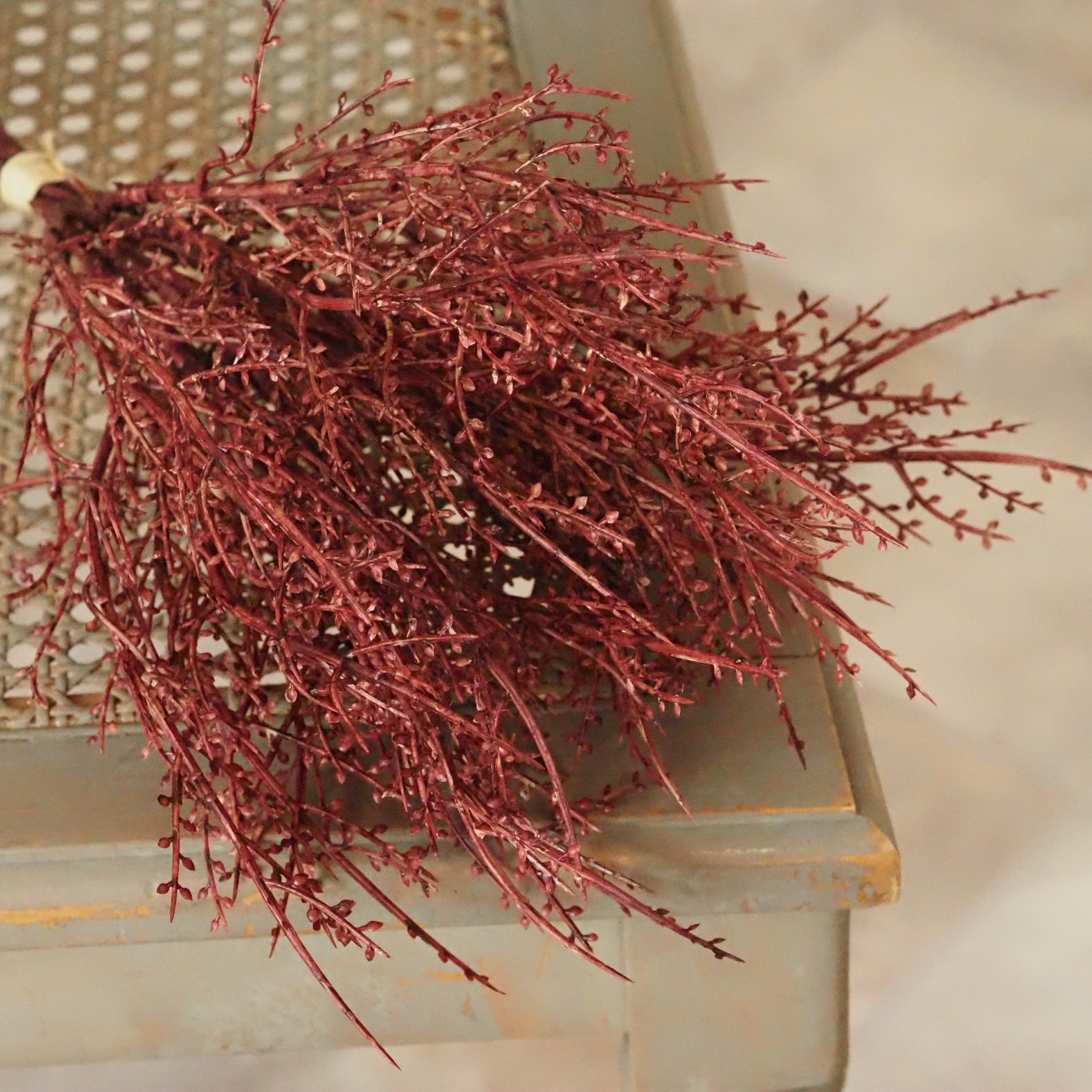 Dekozweig Weinrot · Filigraner Knospenbesatz