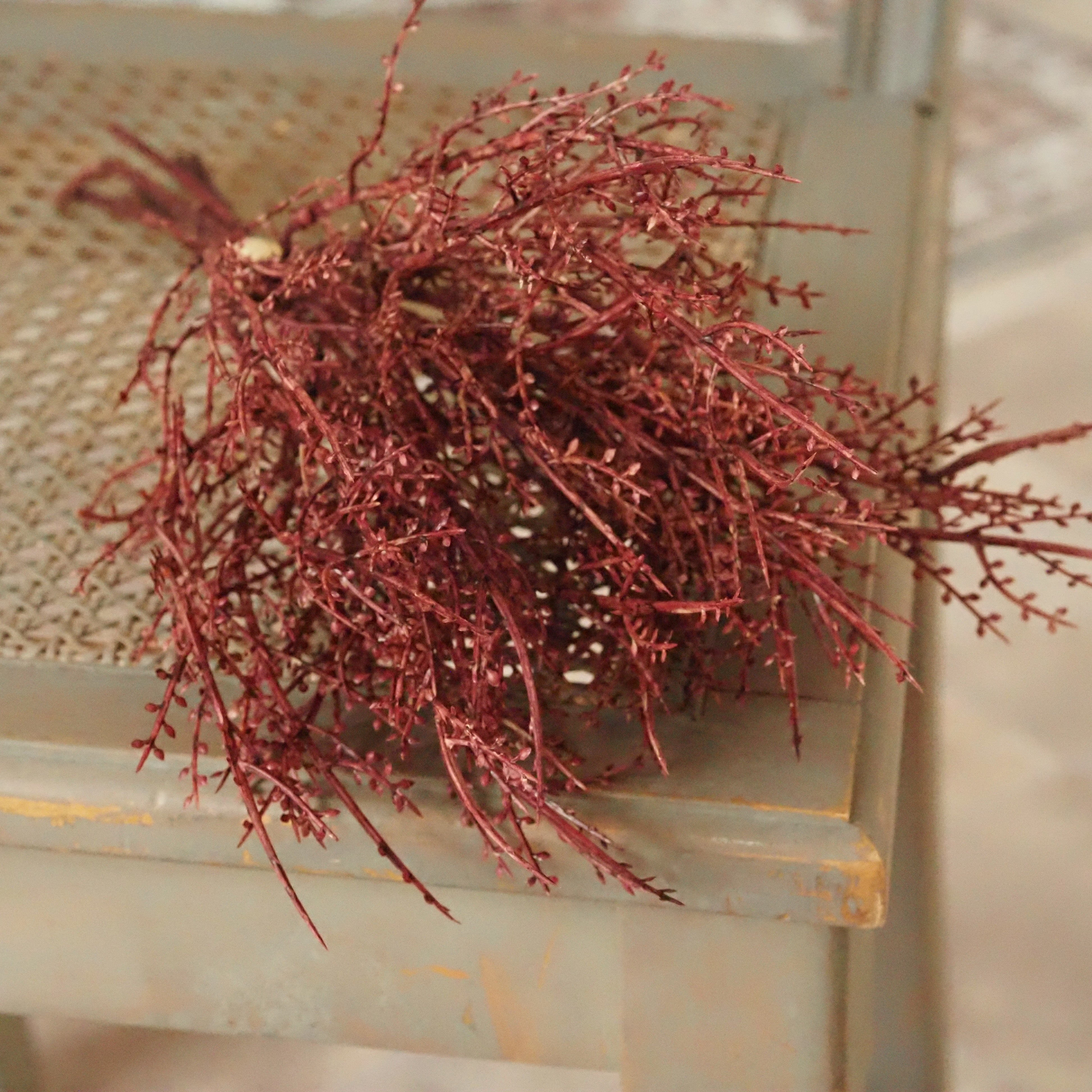 Dekozweig Weinrot · Filigraner Knospenbesatz