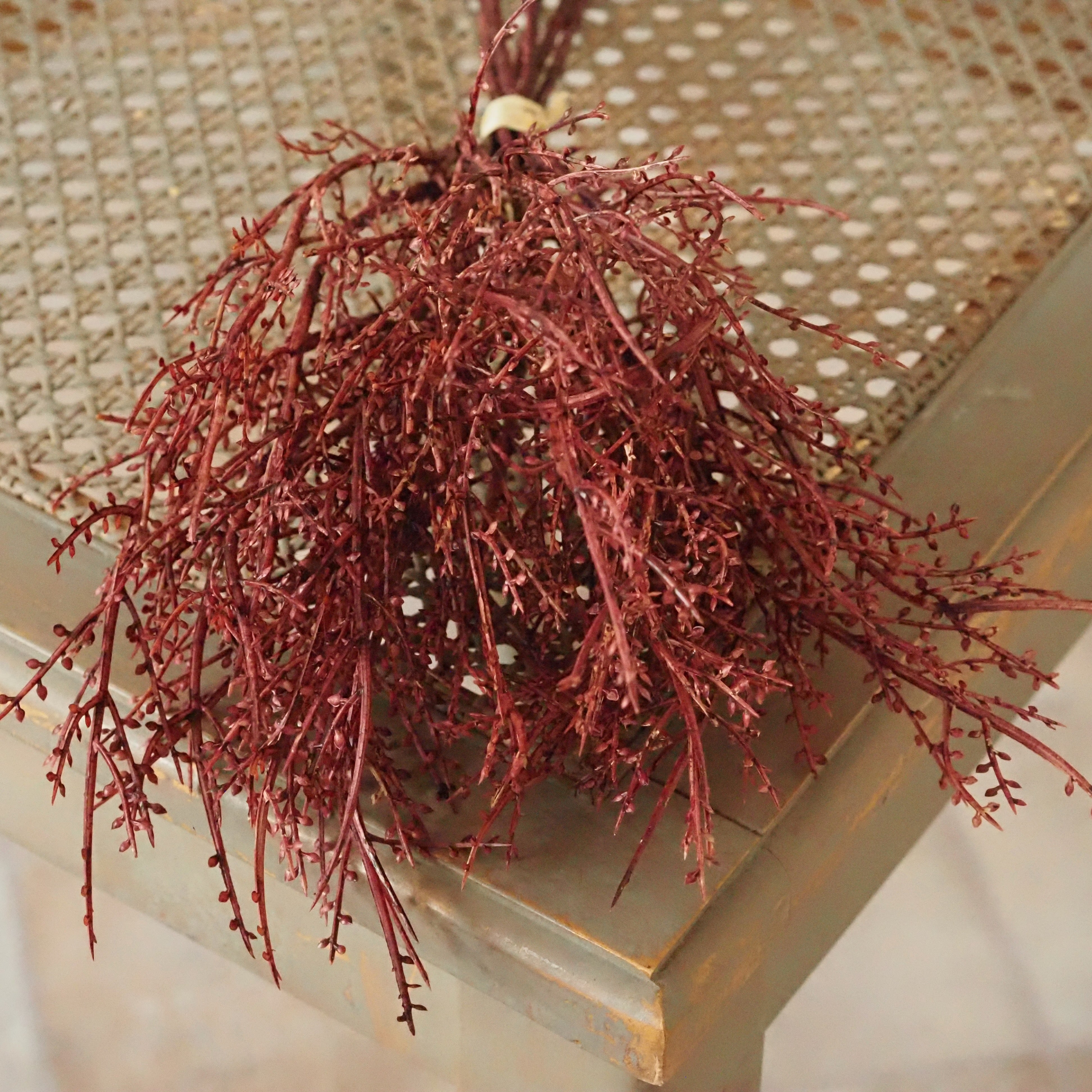 Dekozweig Weinrot · Filigraner Knospenbesatz