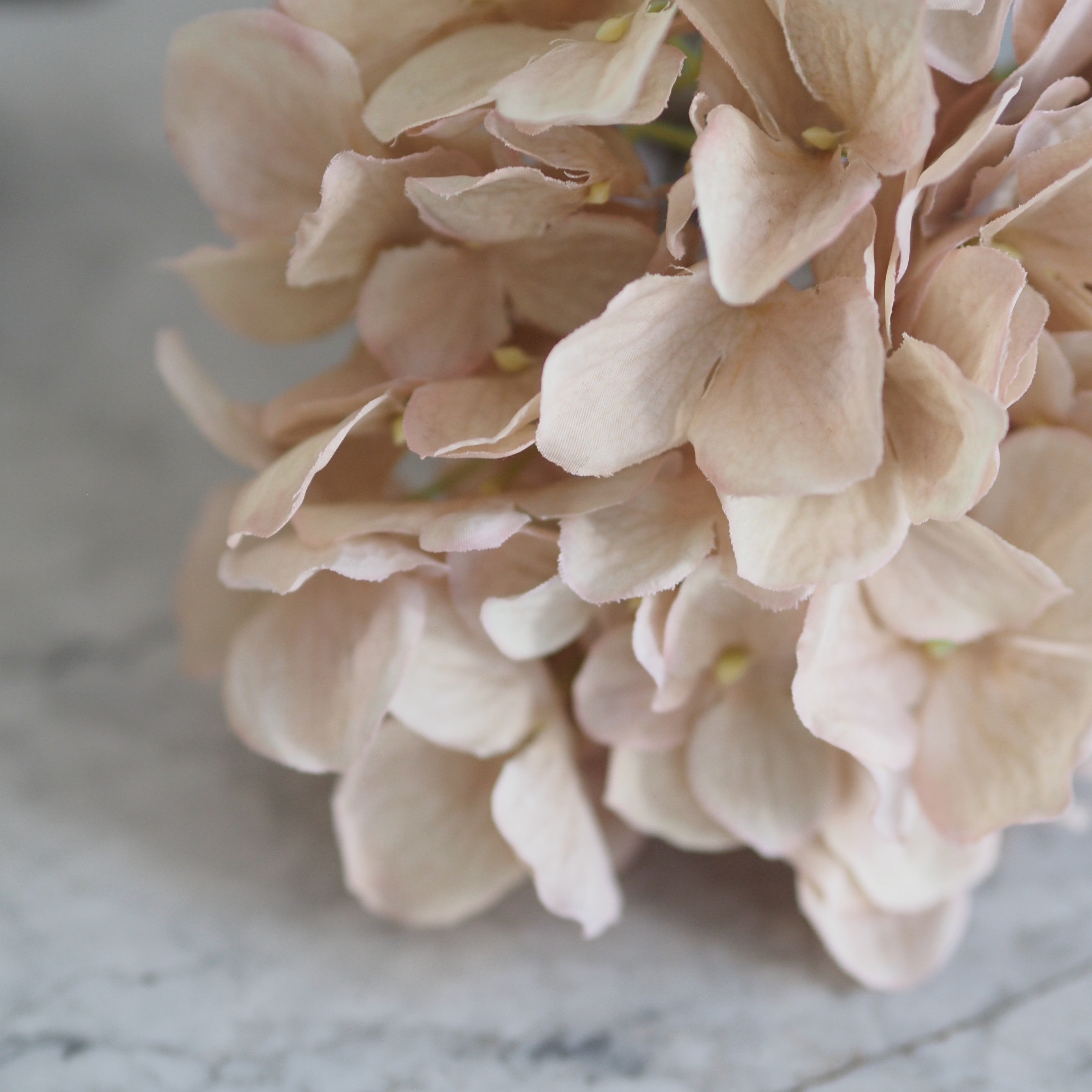 Dekozweig Hortensie · botanisch inspiriert / Floristikobjekt
