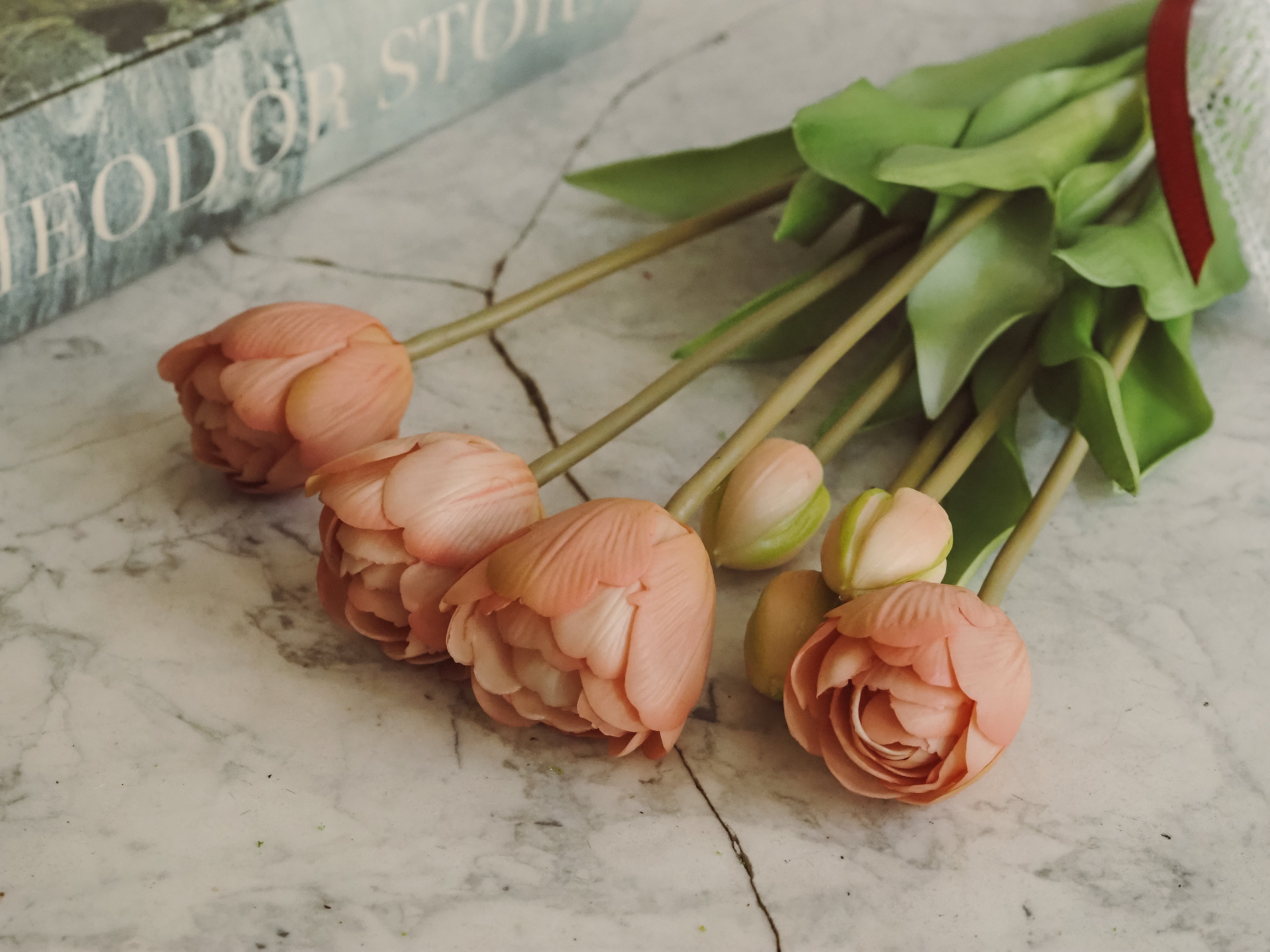 Tulpenbund Rosé · dekorativer Tulpenzweig im botanischen Stil