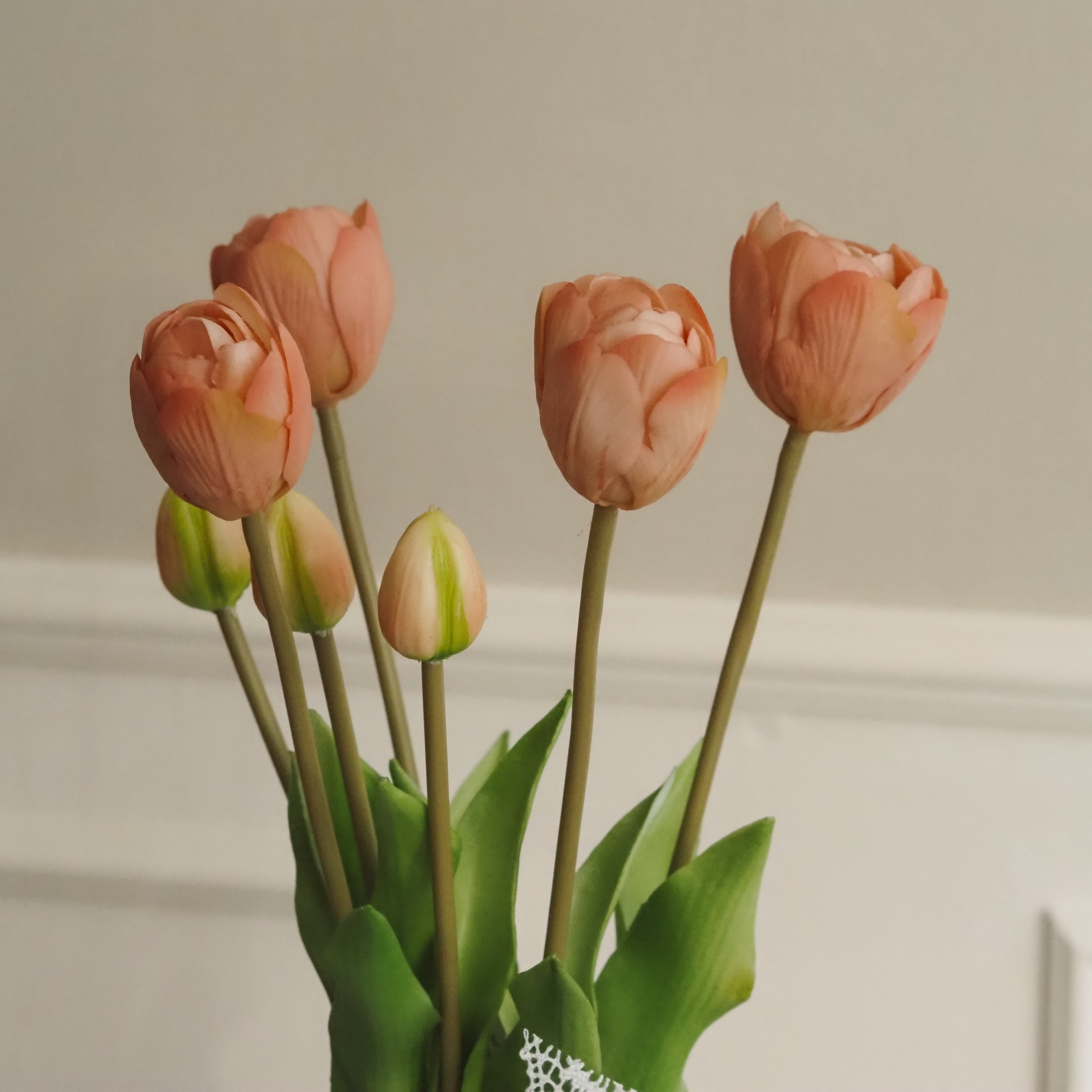 Tulpenbund Rosé · dekorativer Tulpenzweig im botanischen Stil
