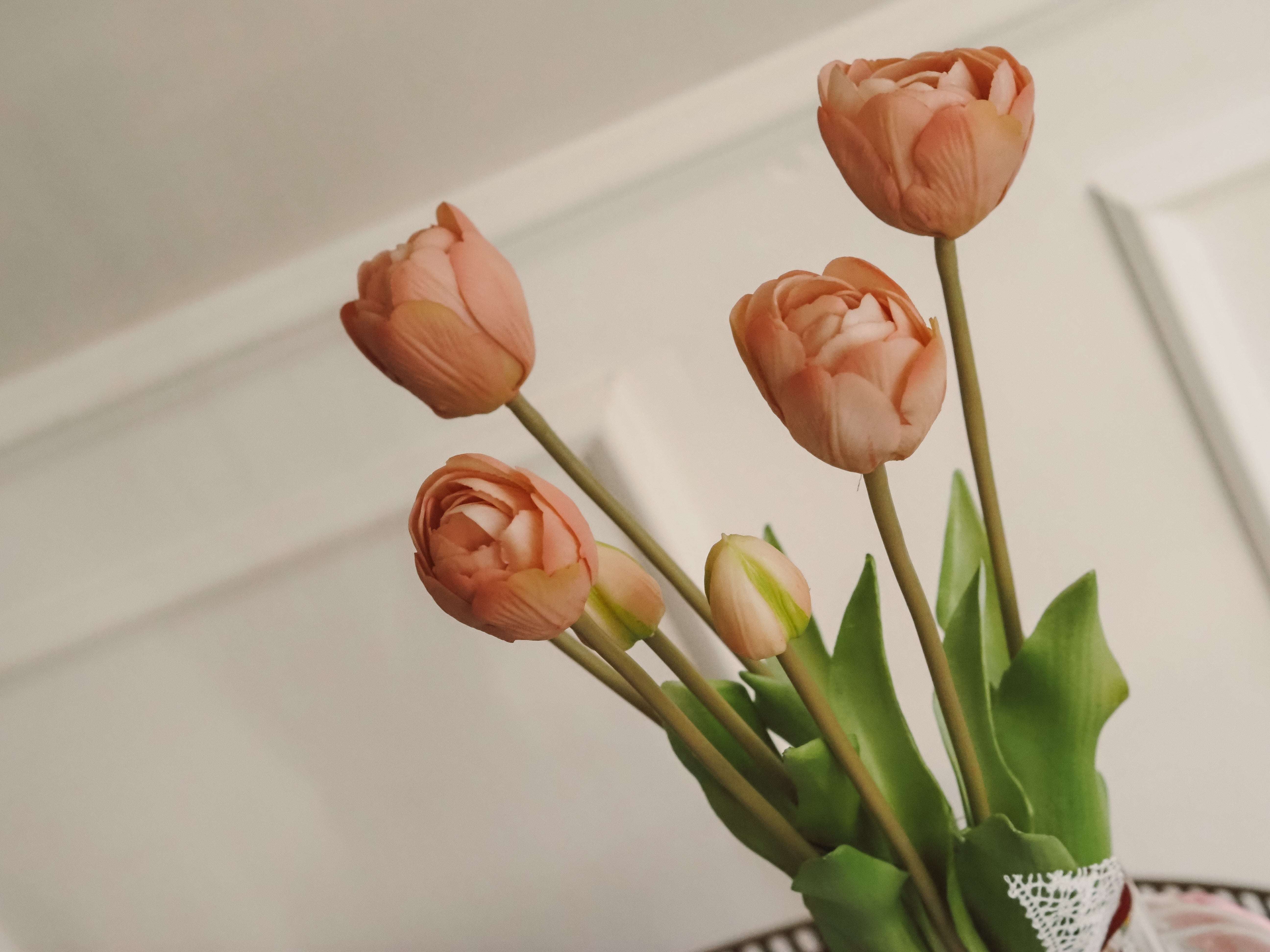 Tulpenbund Rosé · dekorativer Tulpenzweig im botanischen Stil