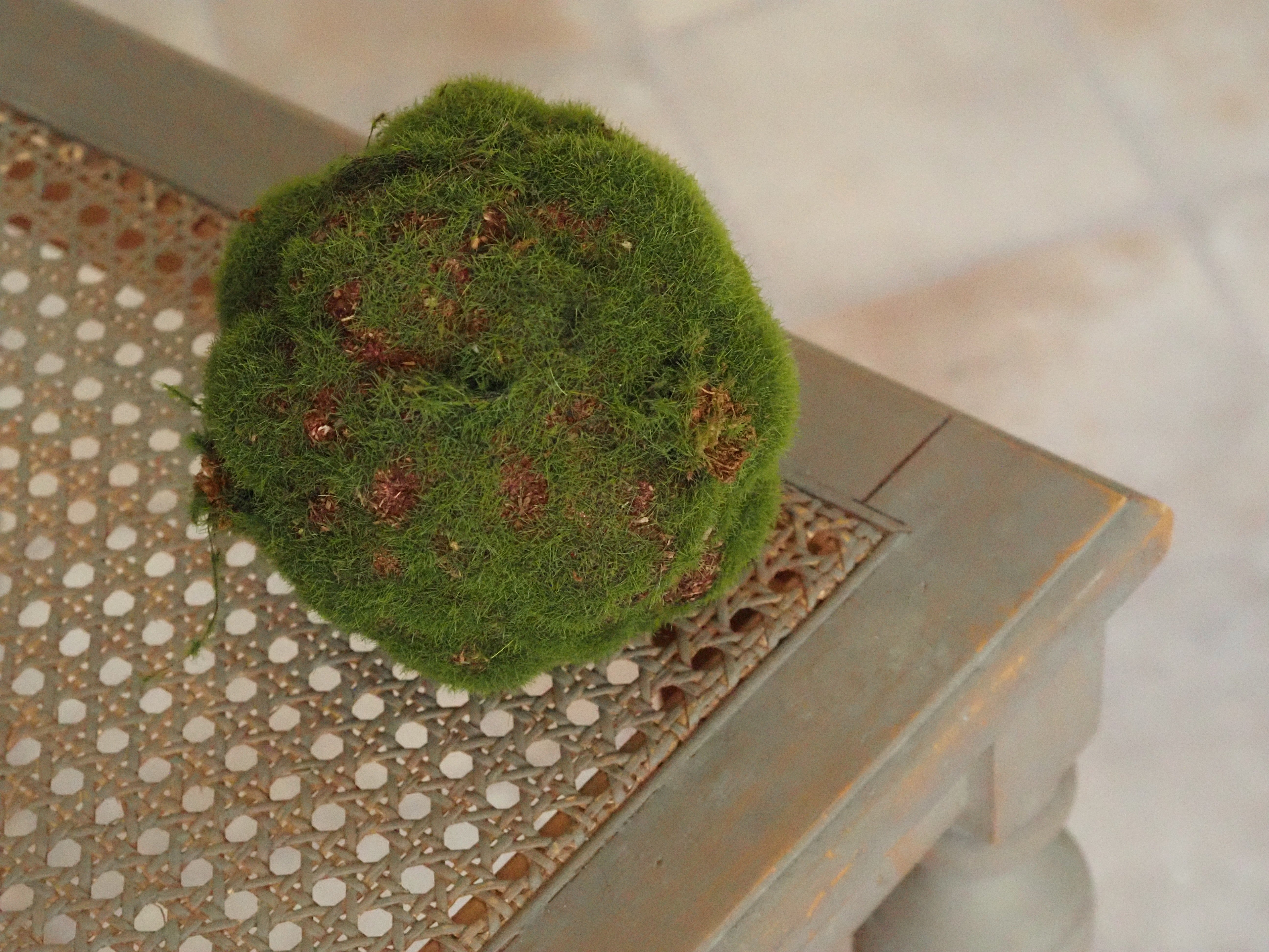 Mooskugel Grün · Tischdeko Regal Wohnzimmer