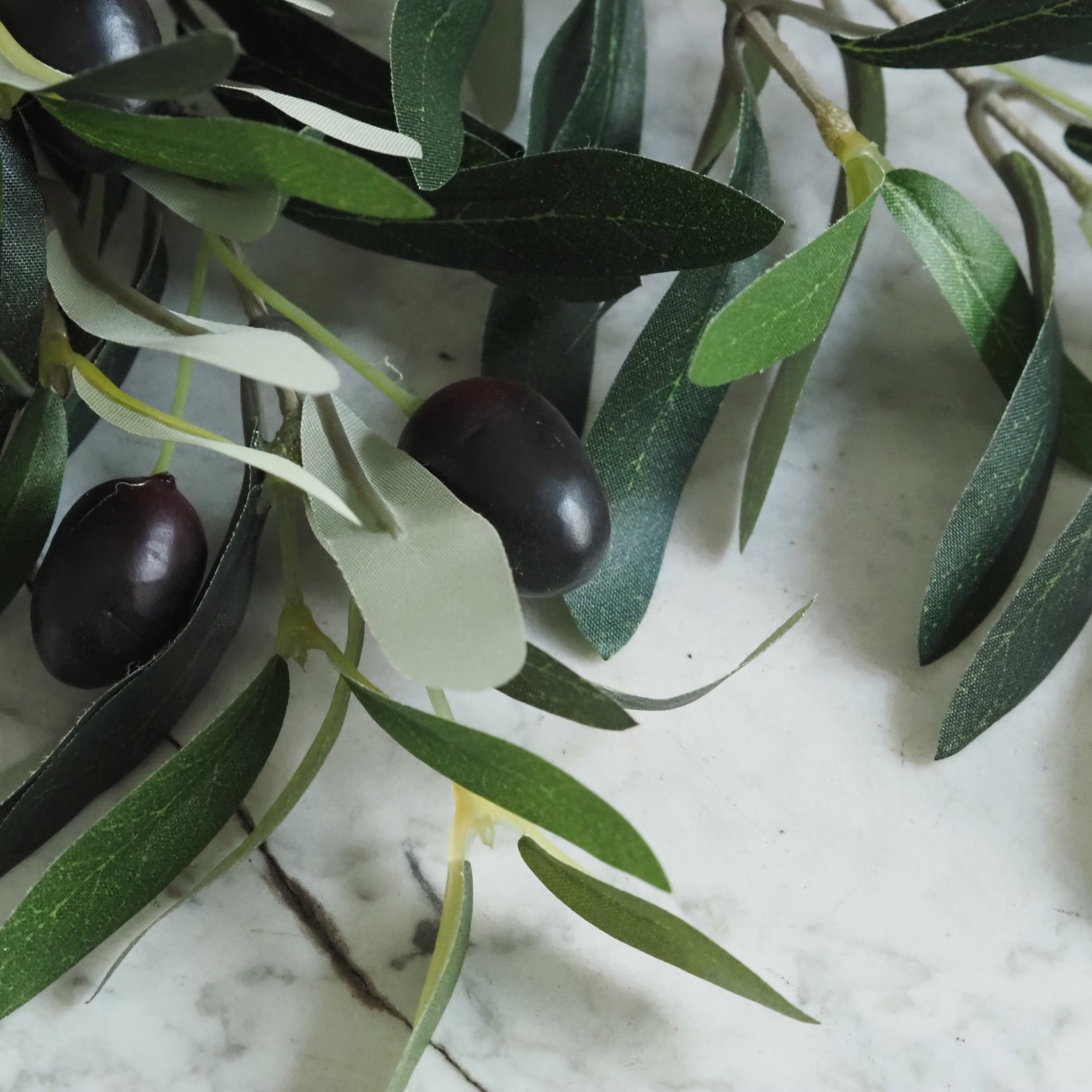 Olivenzweig · dekorativer Zweig im mediterranen Stil