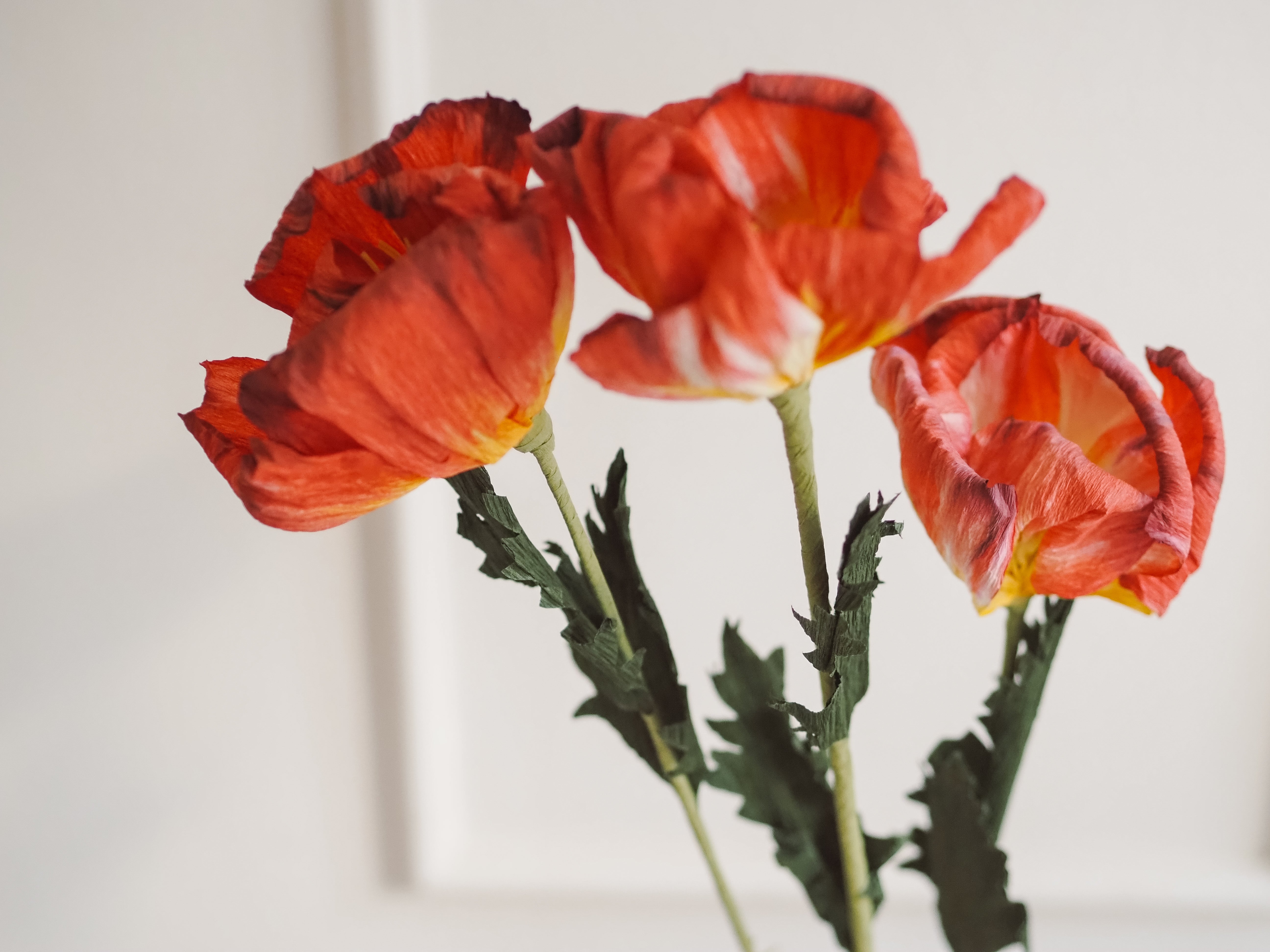 Papierblumen Zweig · Zierliche oder große Blüte