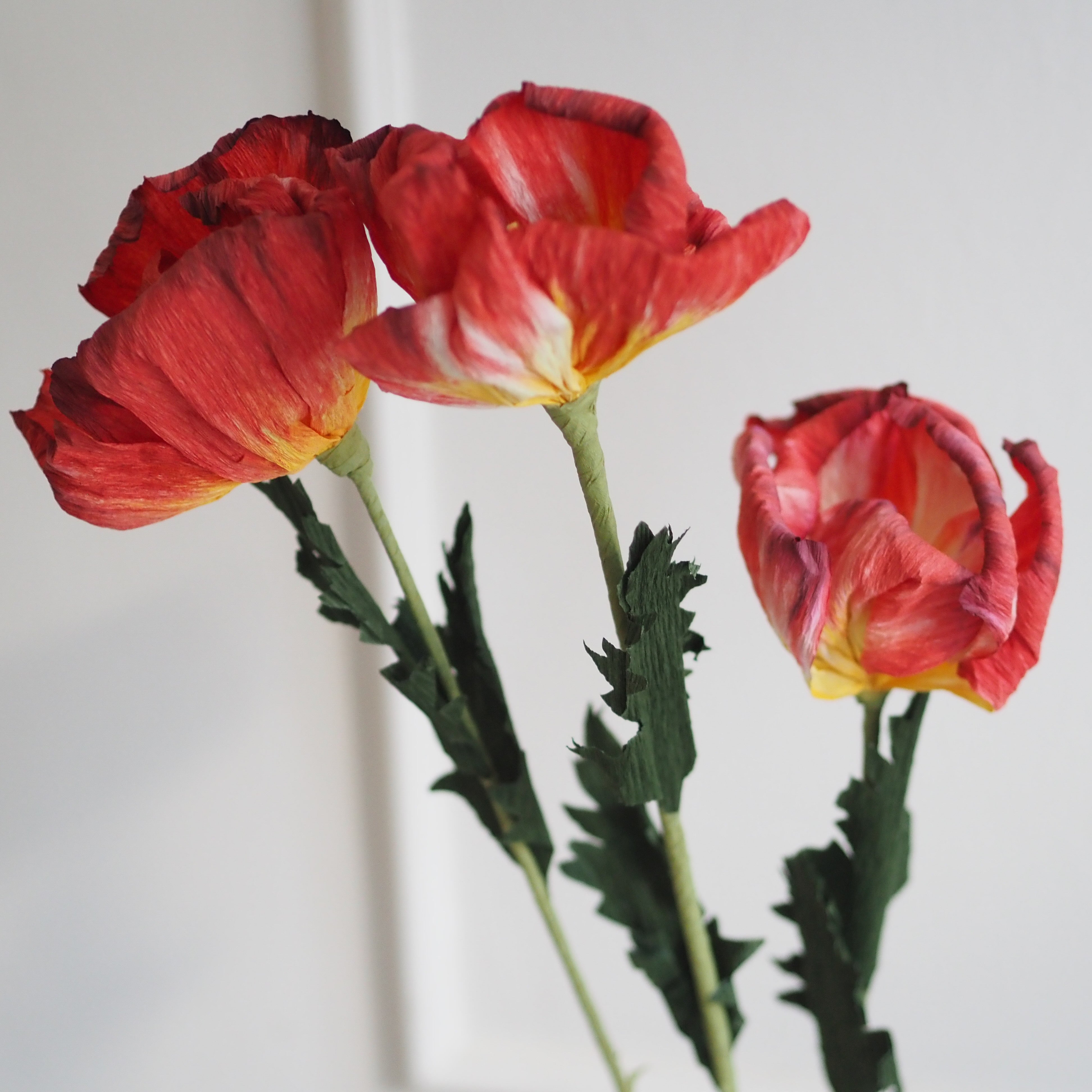 Papierblumen Zweig · Zierliche oder große Blüte