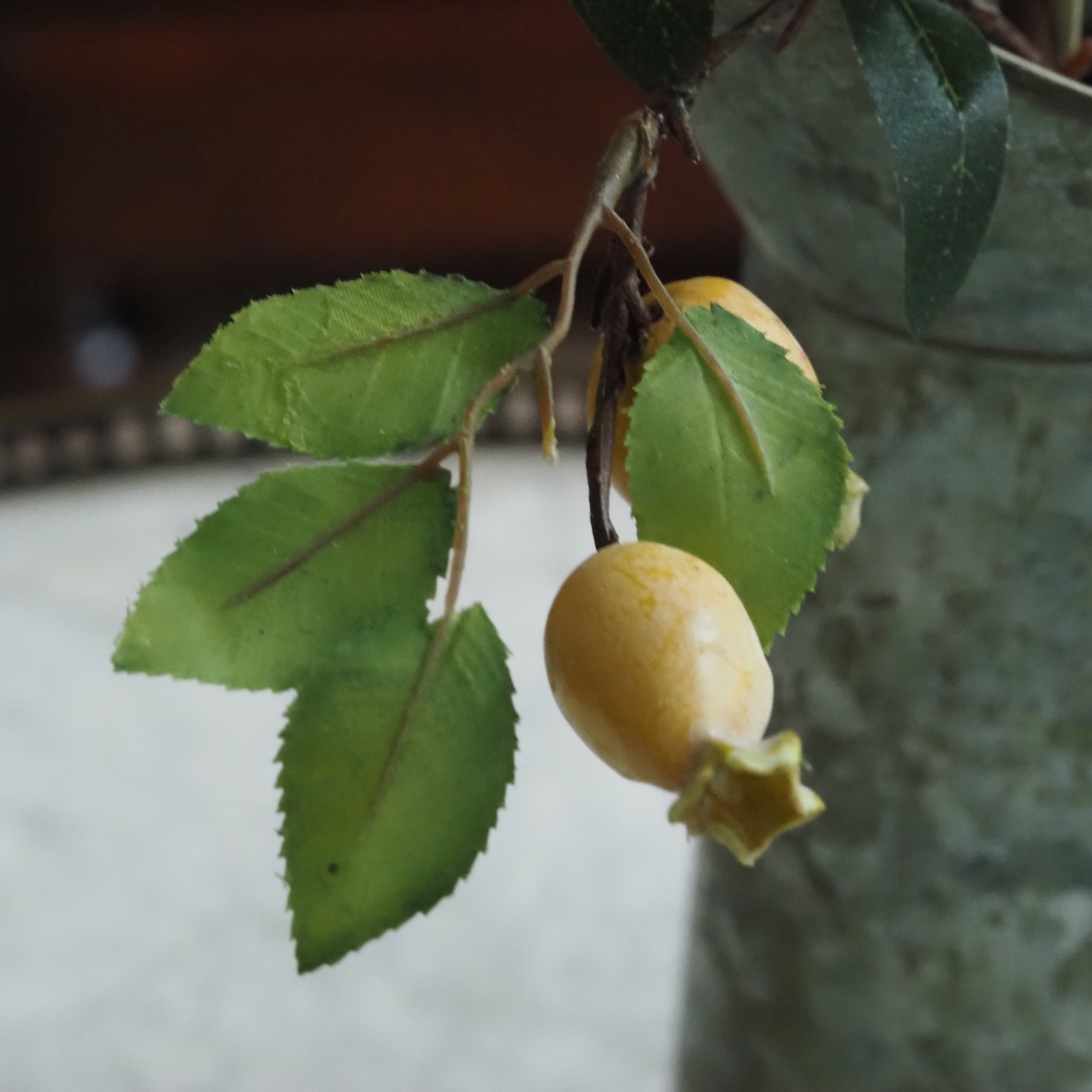 Dekorativer Hagebuttenzweig · botanisch inspirierter Dekozweig