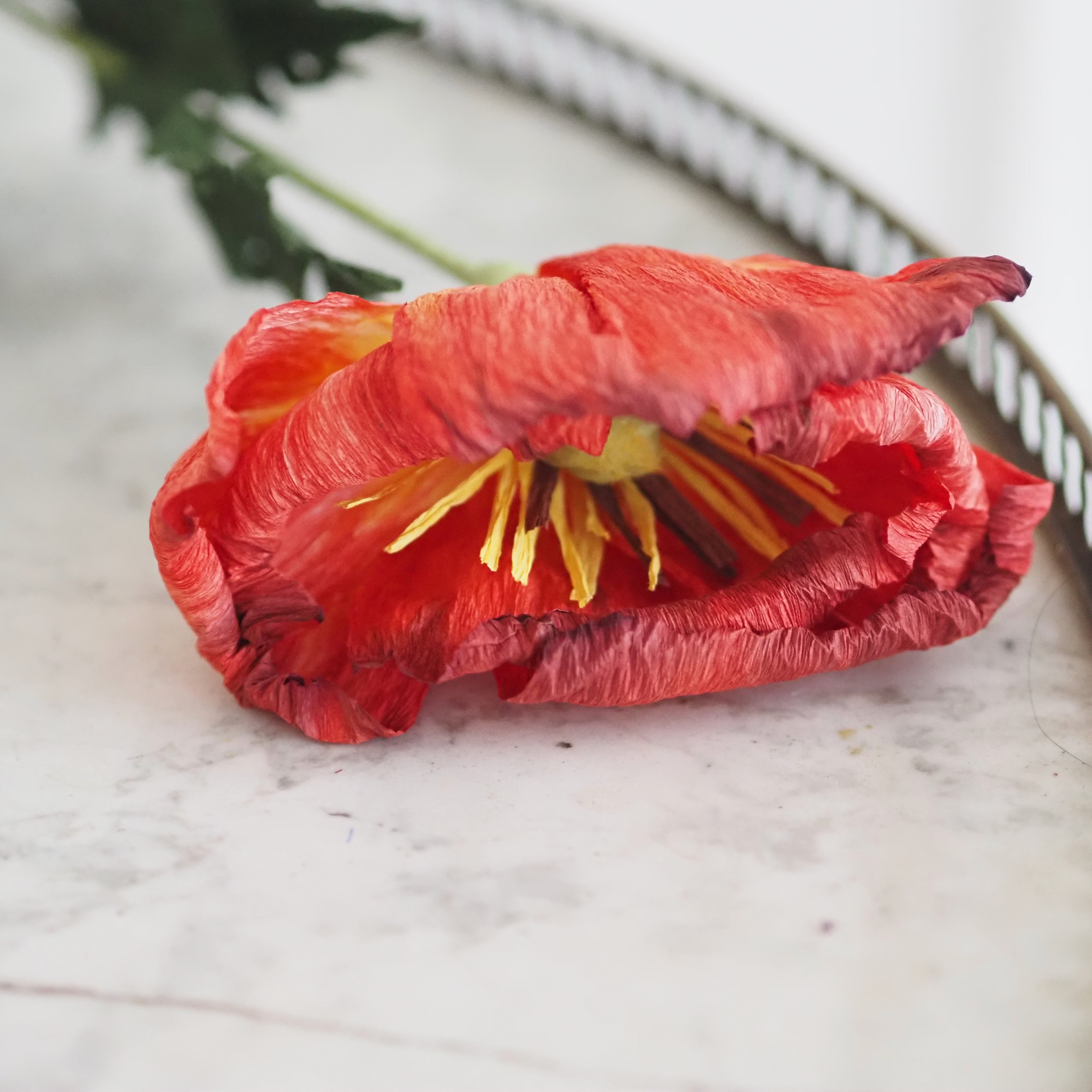 Papierblumen Zweig · Zierliche oder große Blüte