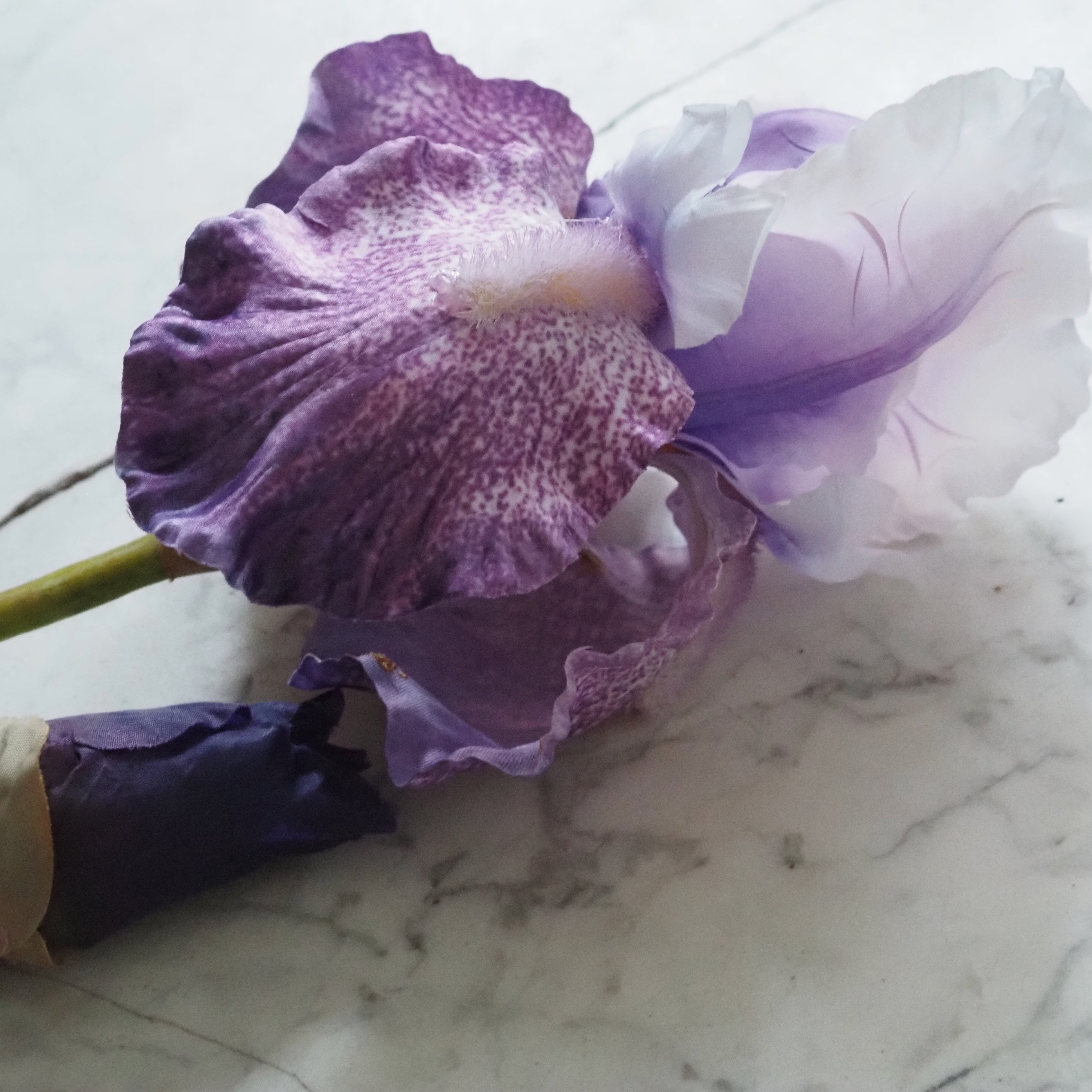 Iriszweig lila · dekorativer Floristikzweig im botanischen Stil