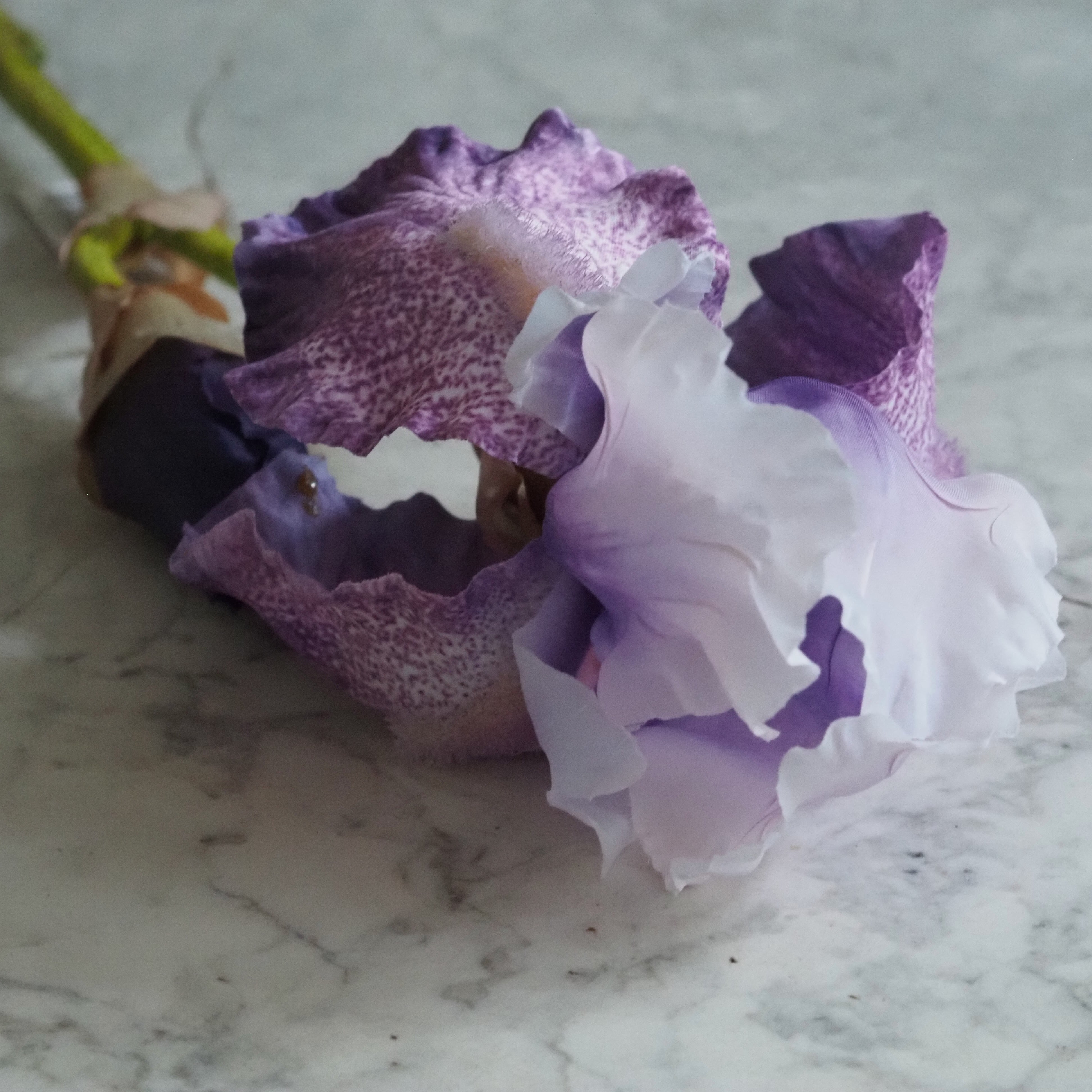 Iriszweig lila · dekorativer Floristikzweig im botanischen Stil