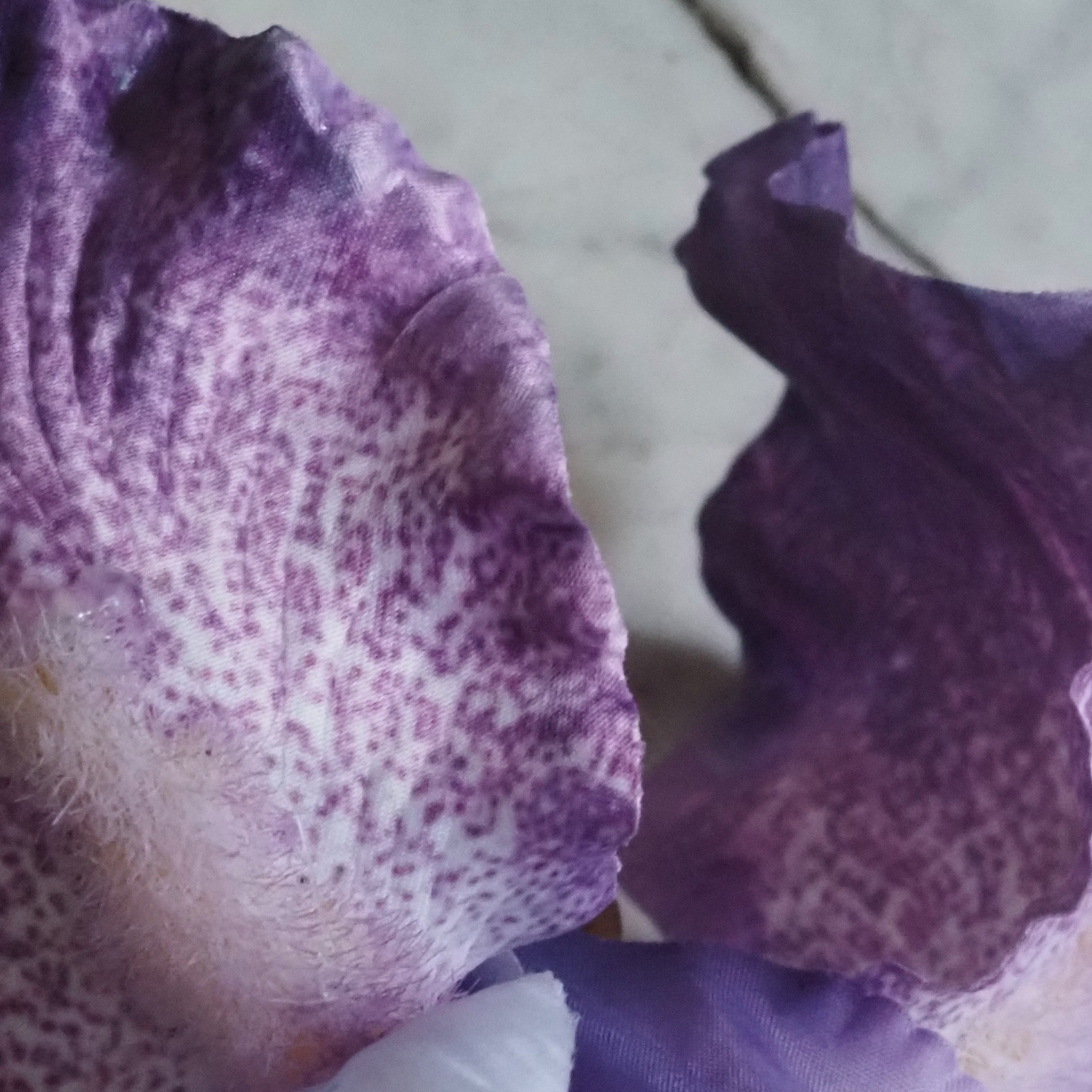 Iriszweig lila · dekorativer Floristikzweig im botanischen Stil