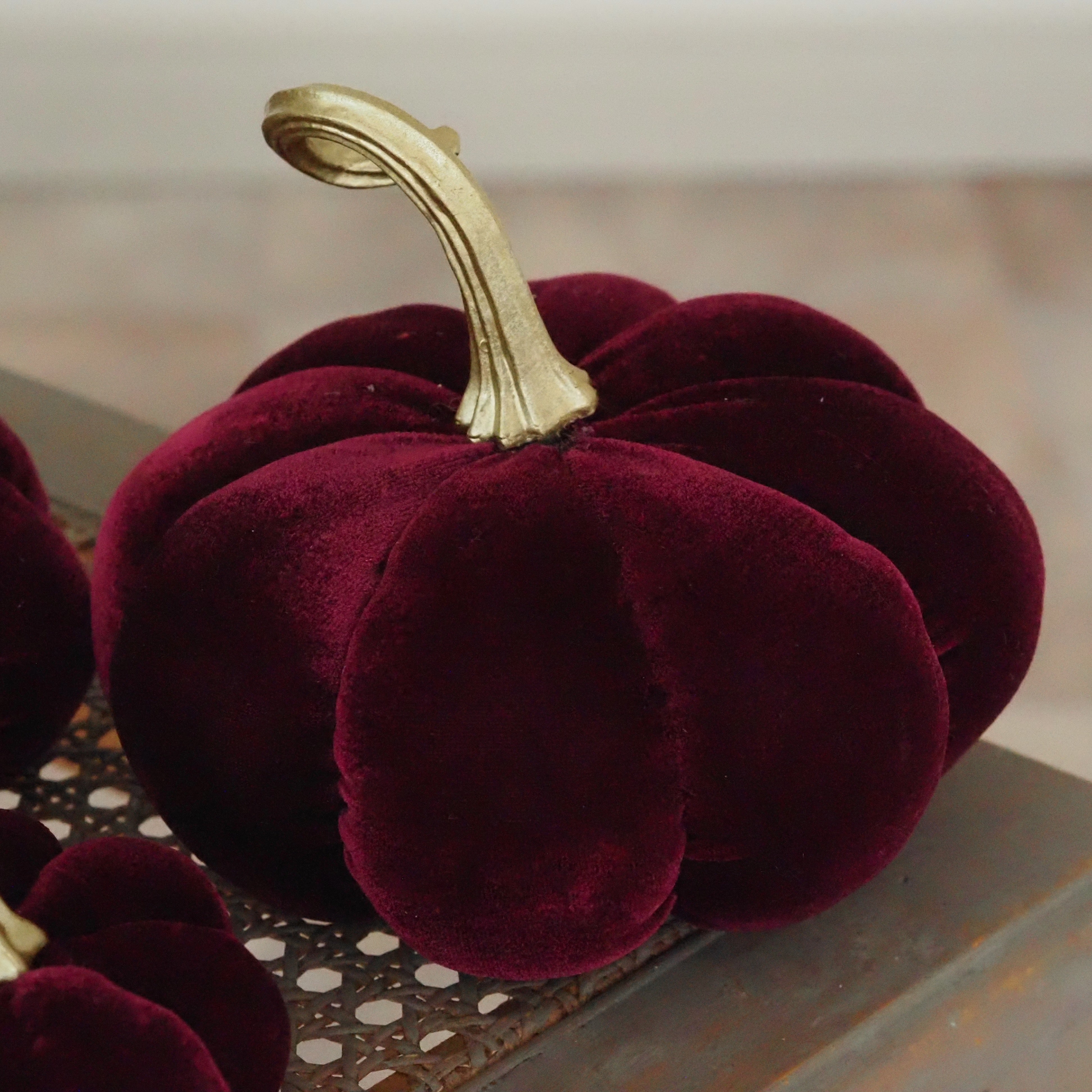 Samtkürbis Bordeaux · Deko-Kürbis mit goldfarbenem Stiel