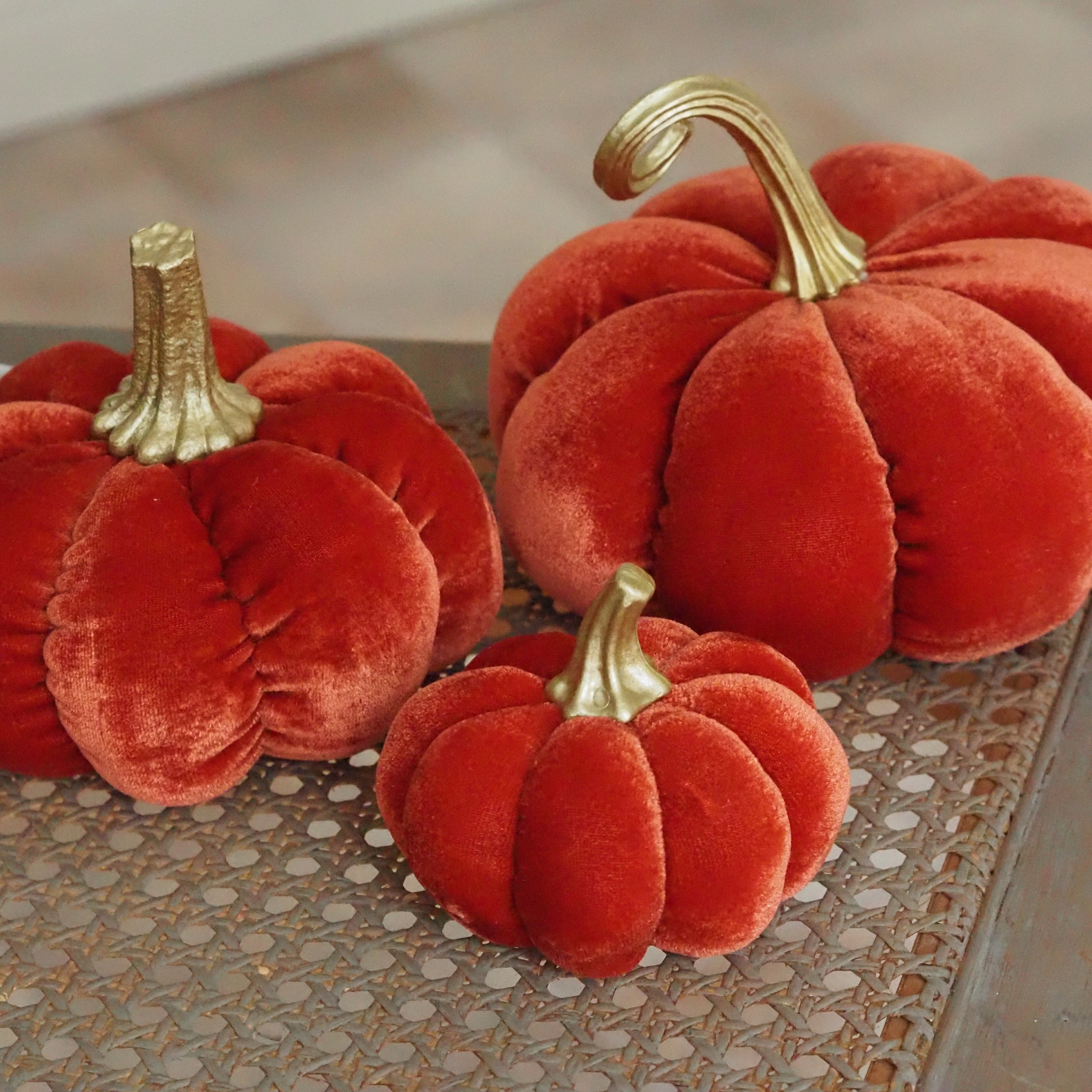 Samtkürbis Orange · Dekokürbis für die Herbstdekoration