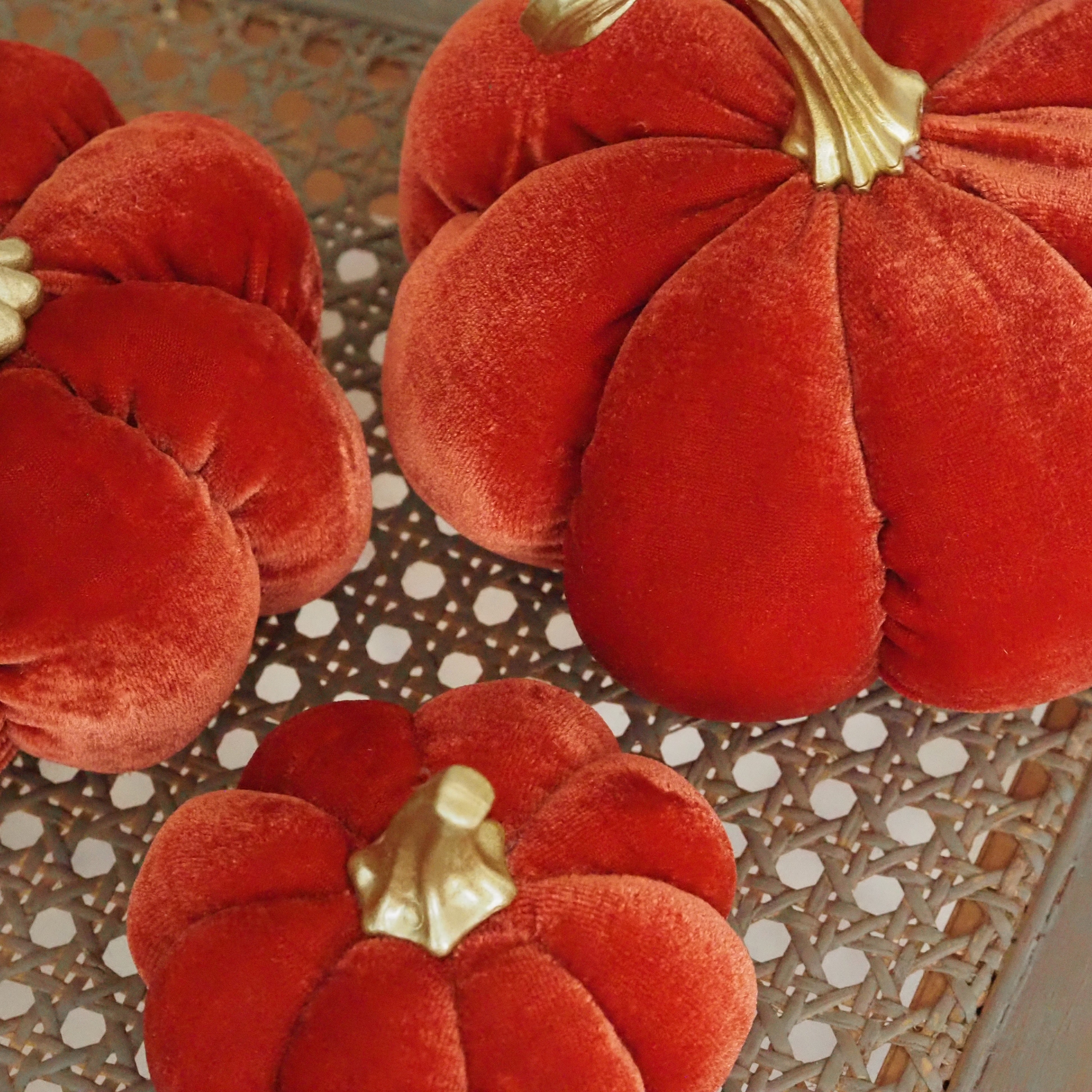 Samtkürbis Orange · Dekokürbis für die Herbstdekoration