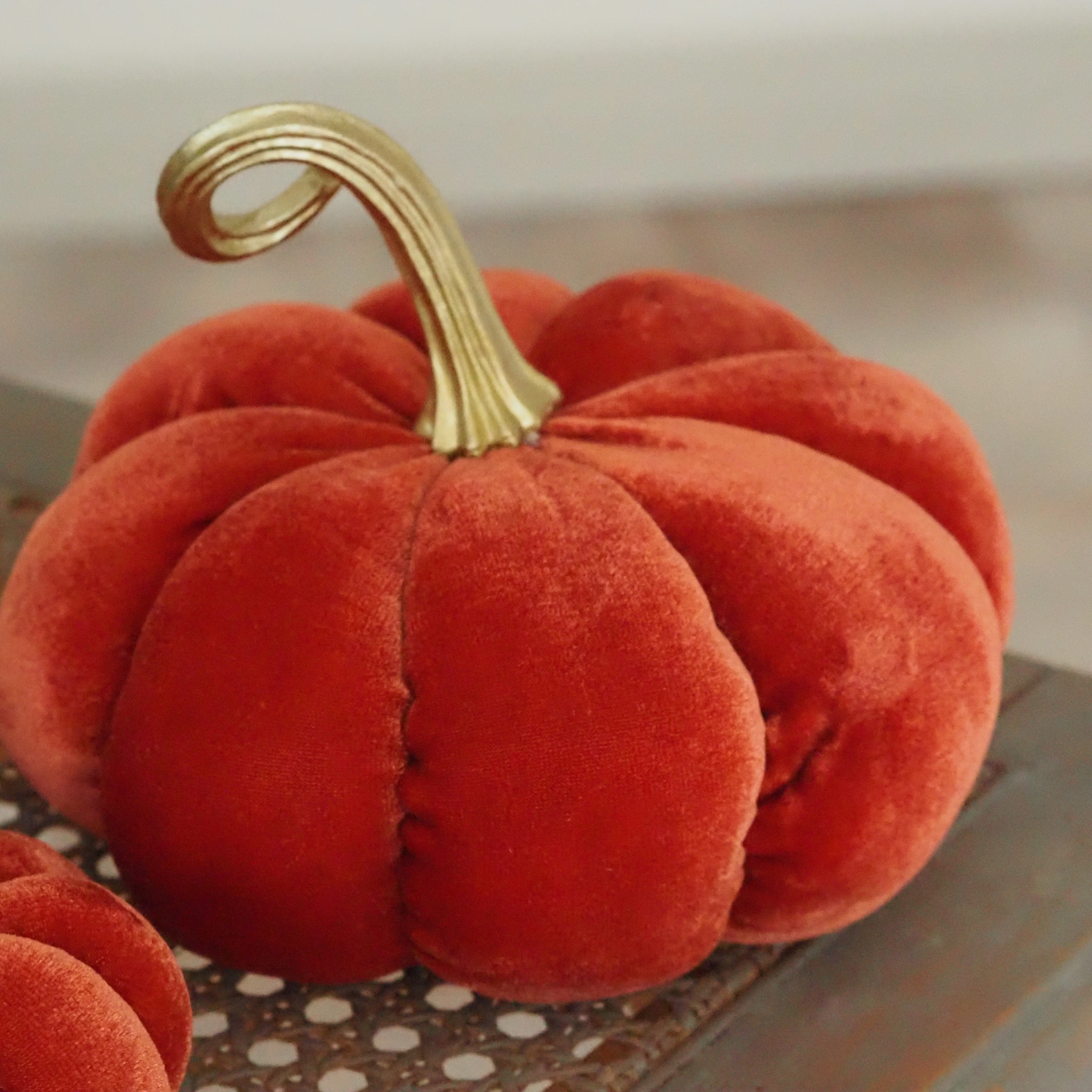 Samtkürbis Orange · Dekokürbis für die Herbstdekoration