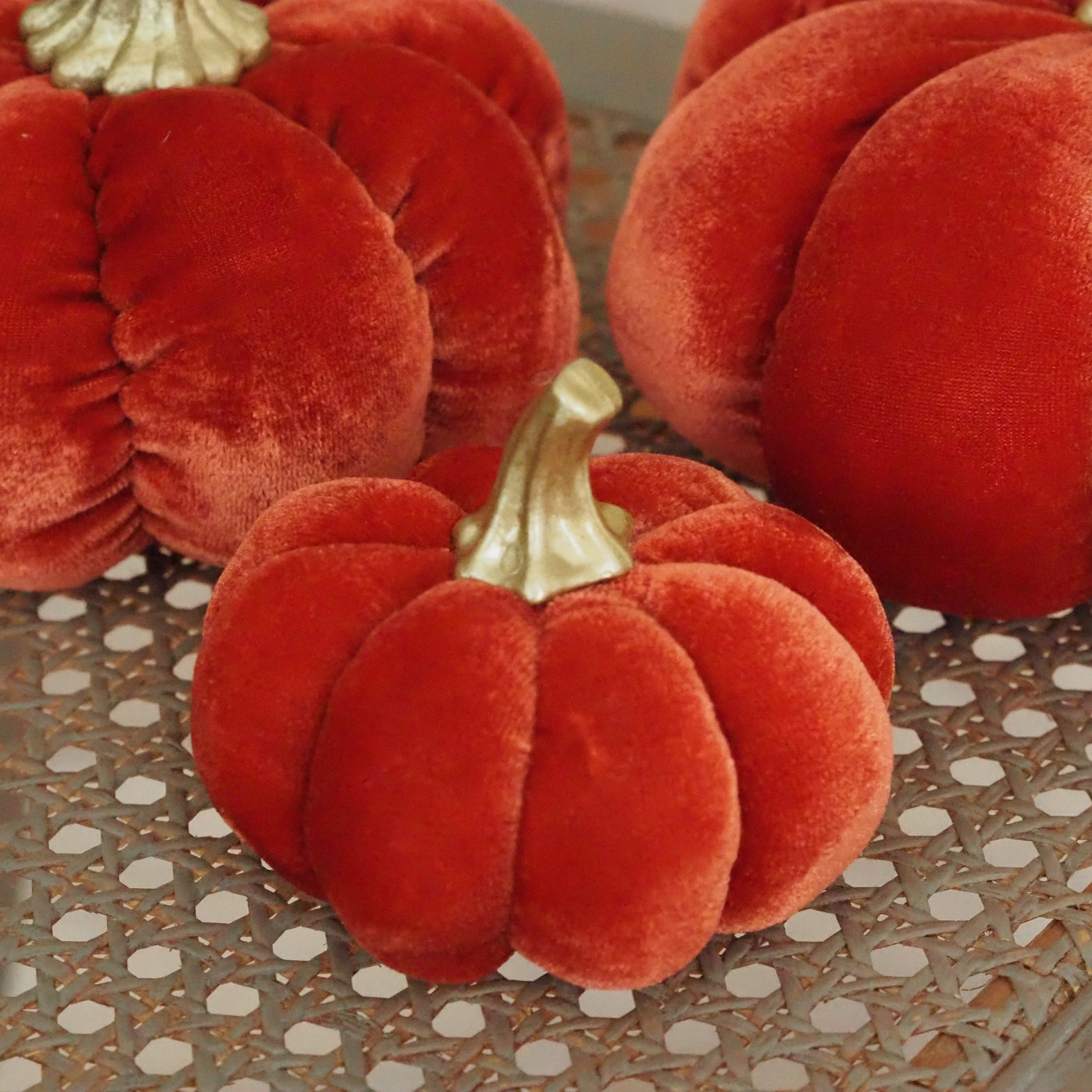 Samtkürbis Orange · Dekokürbis für die Herbstdekoration