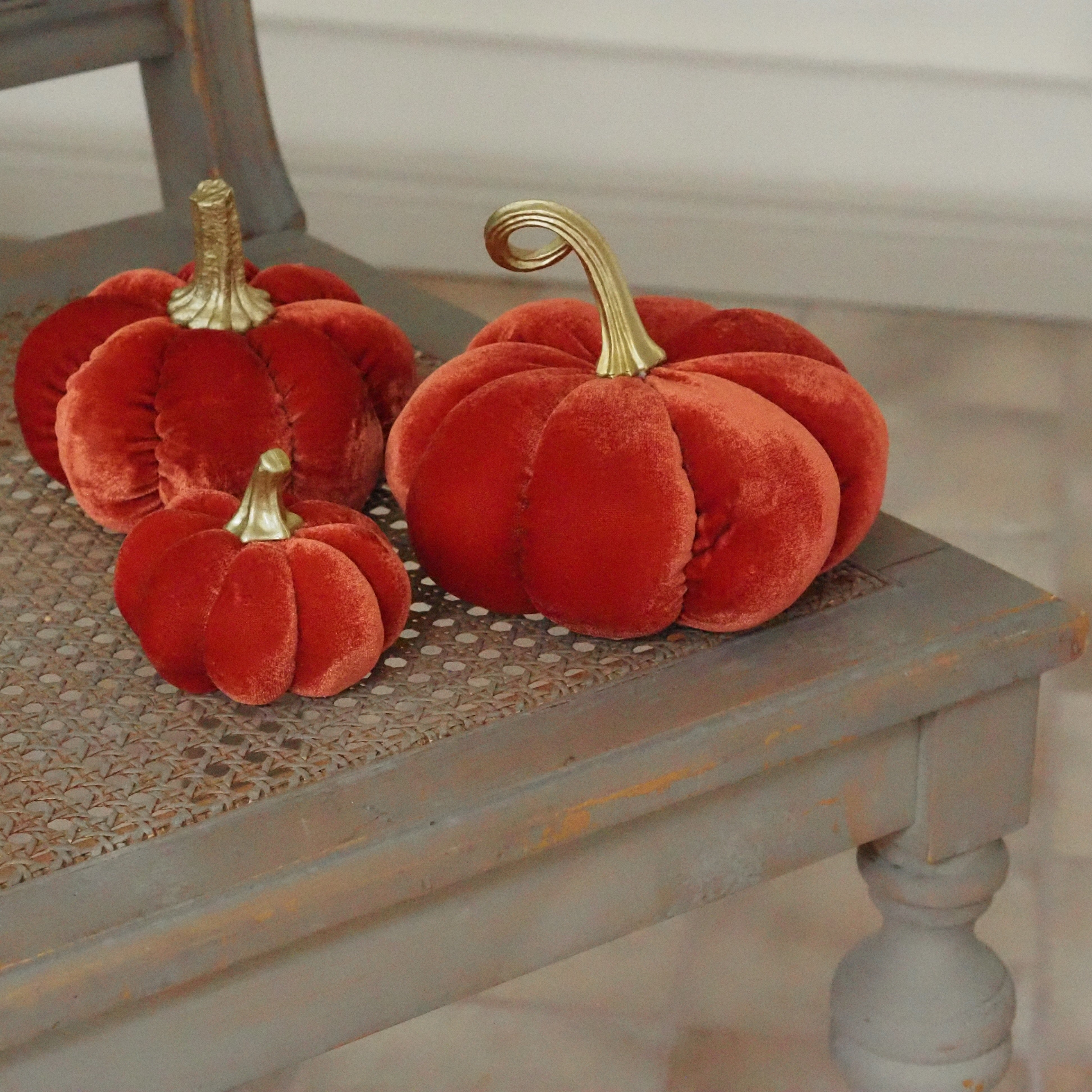 Samtkürbis Orange · Dekokürbis für die Herbstdekoration